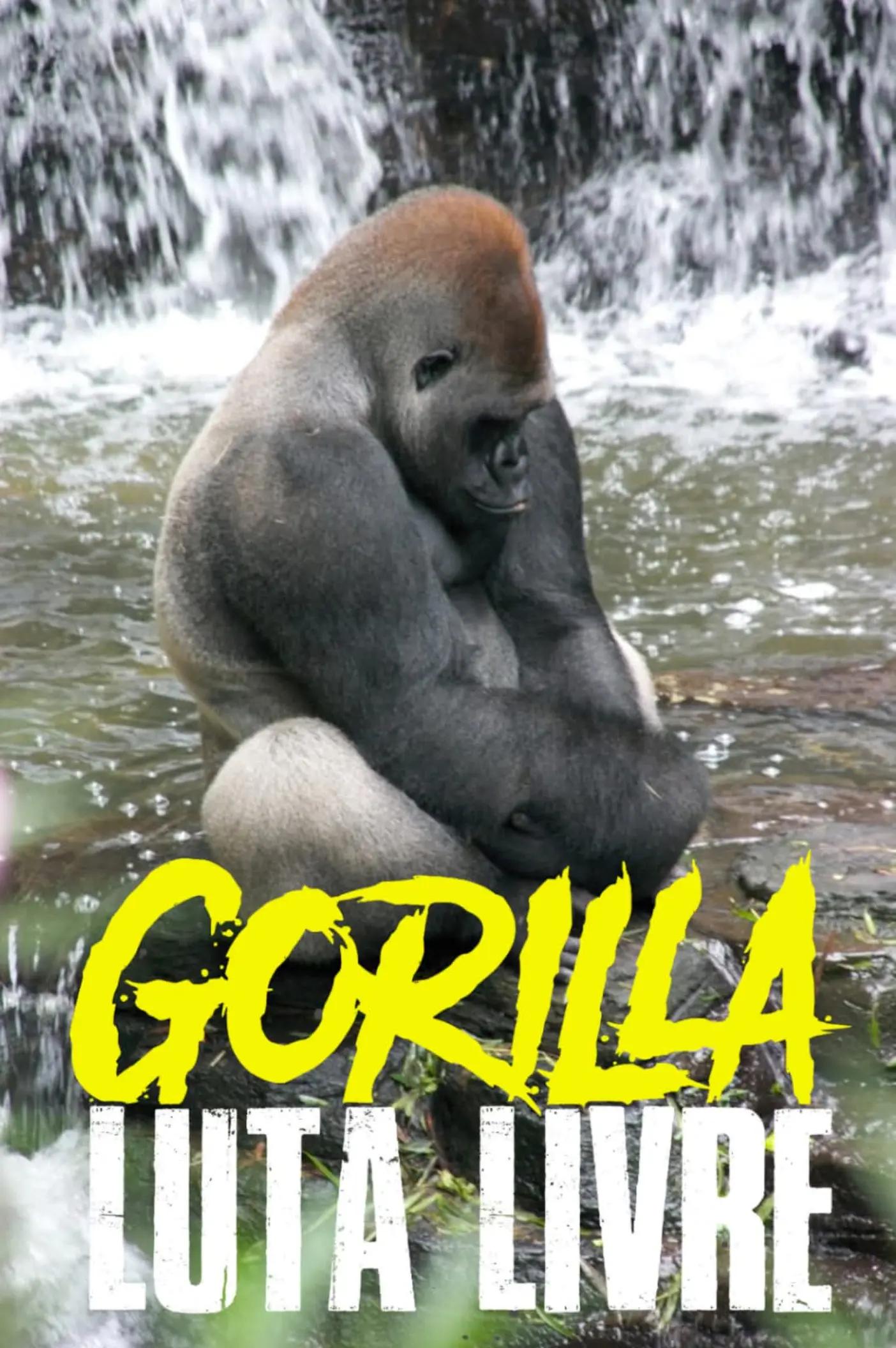@Team Gorilla Martial Arts