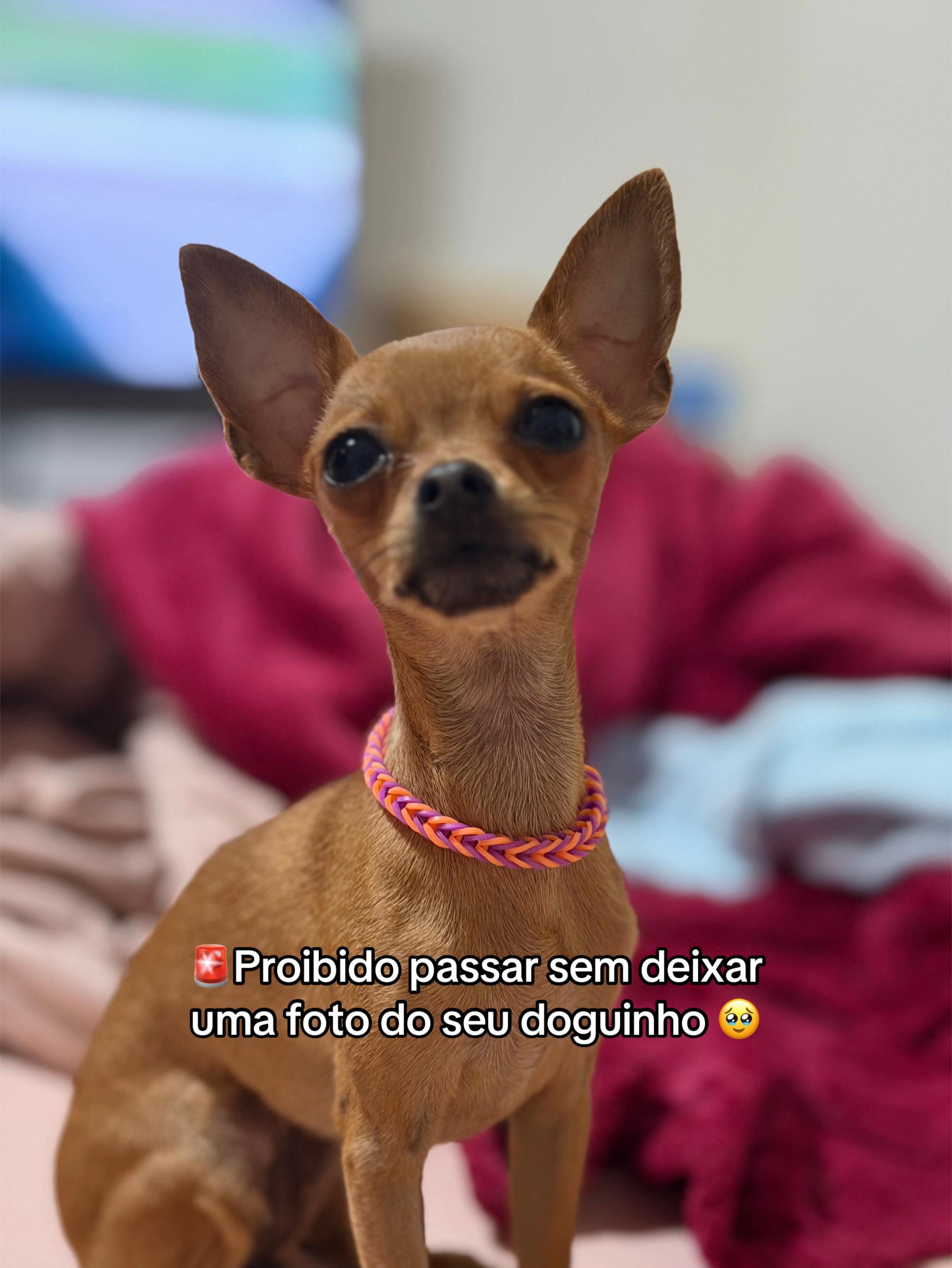 @Laura Machado Oficial