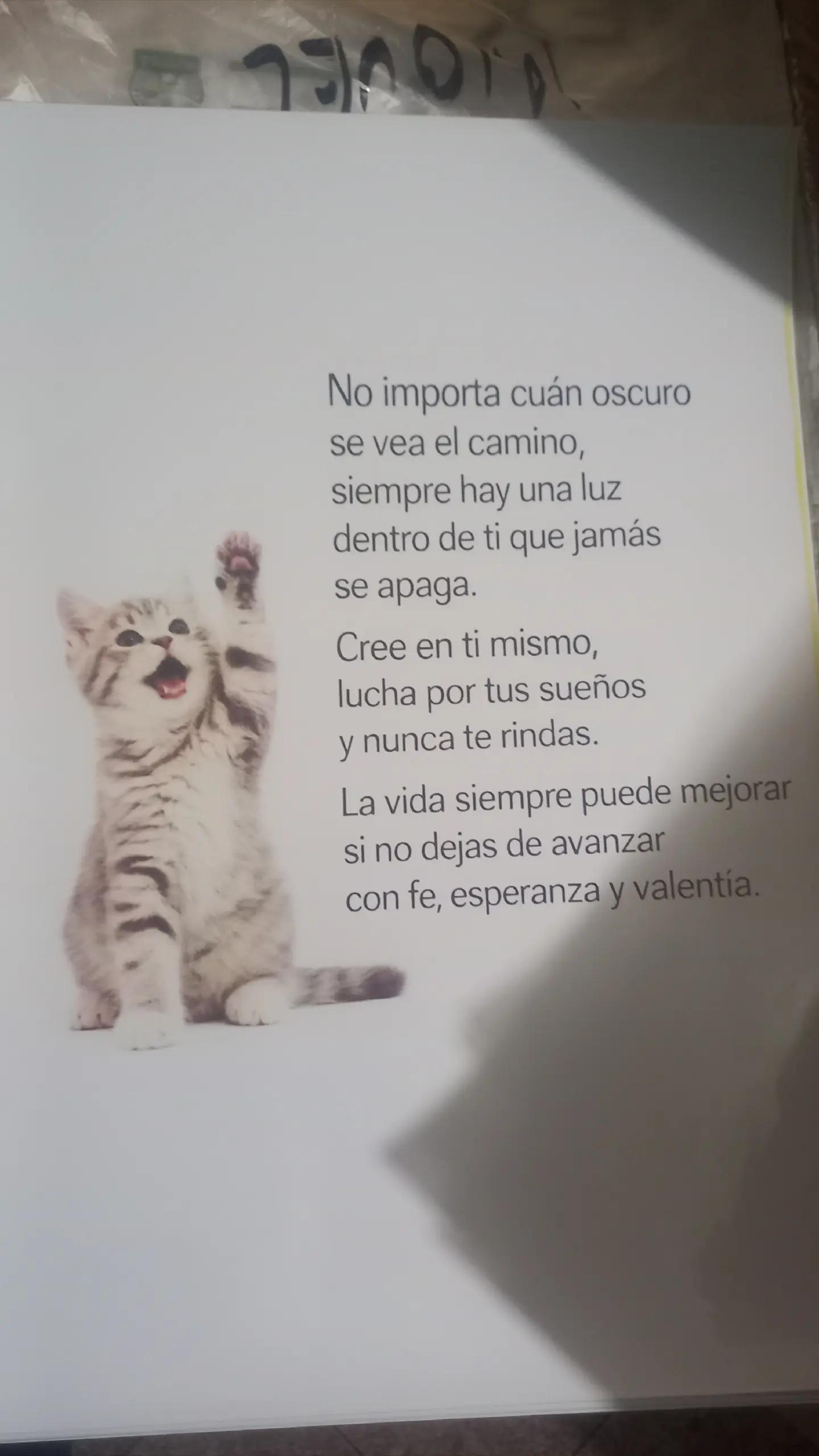 @Elyodaarana