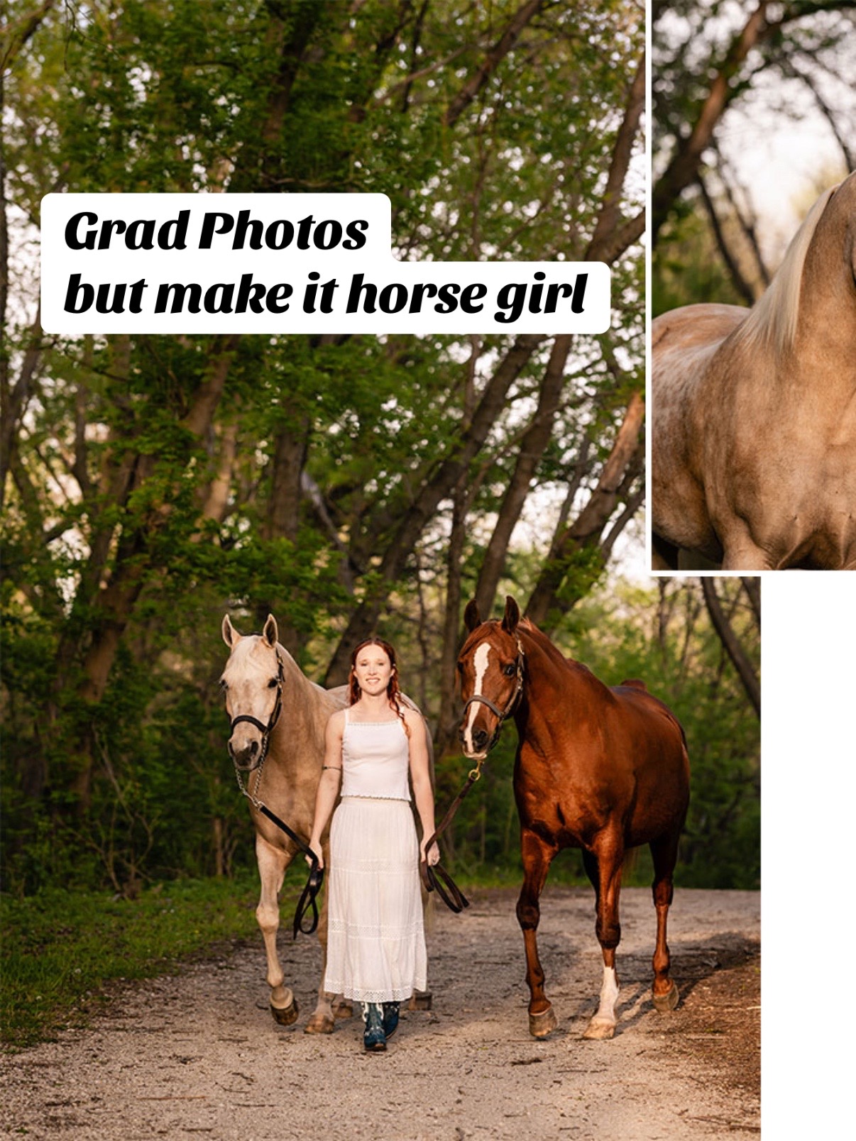@Tisha 📸🦄 Equestrian Photog