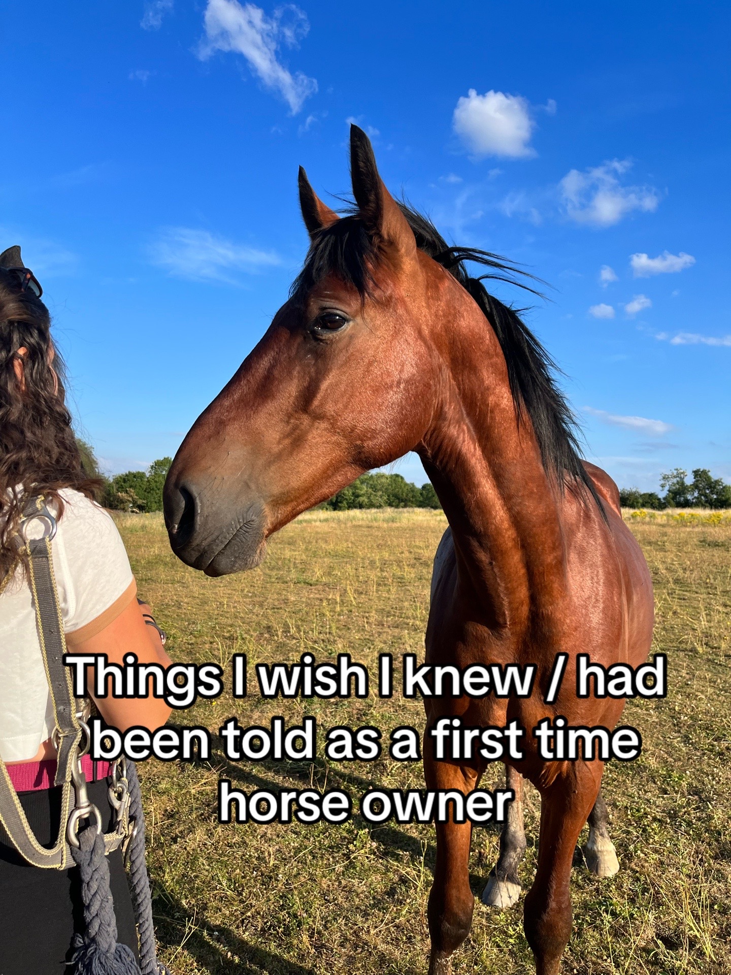 @Horses_with_Narni