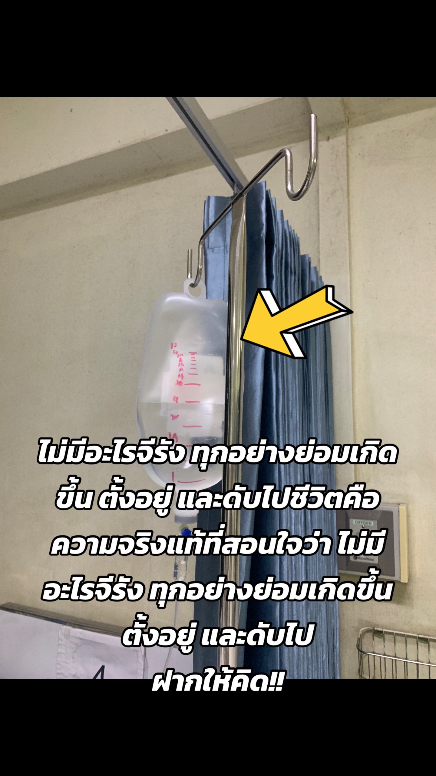@Pupu4990