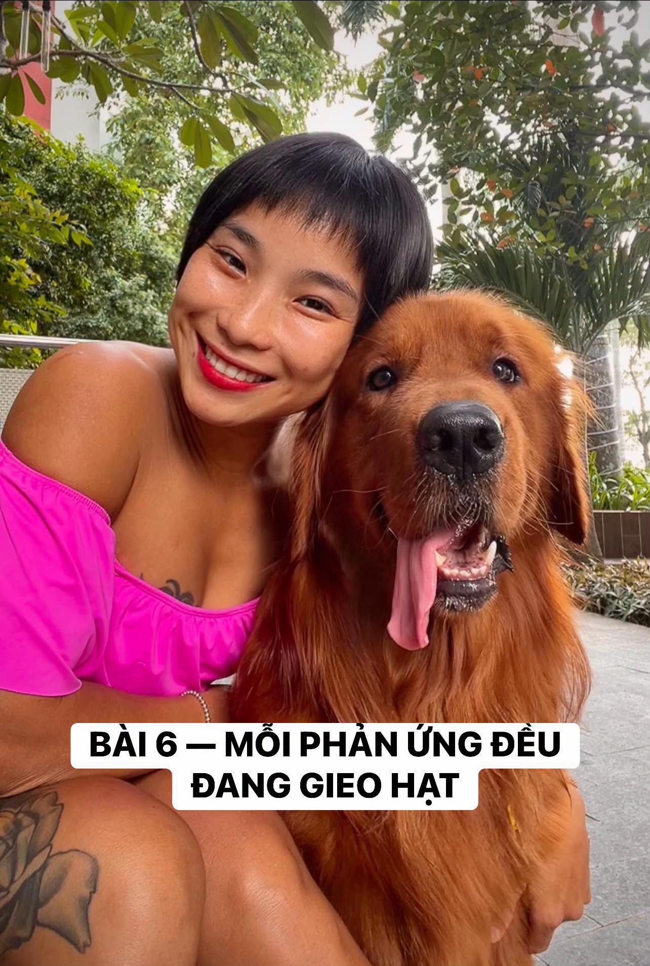 @buihoangbichtho