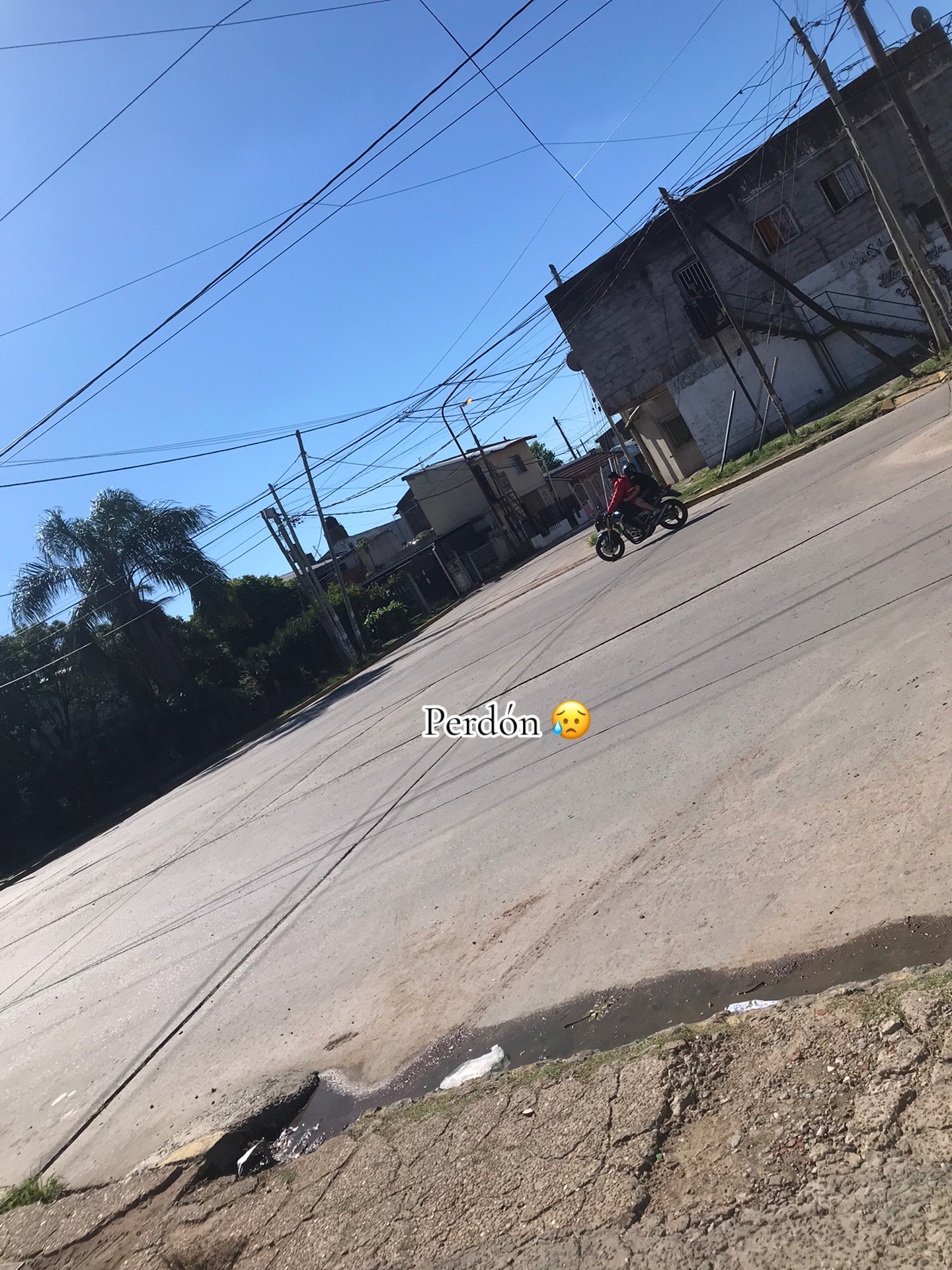 @janita