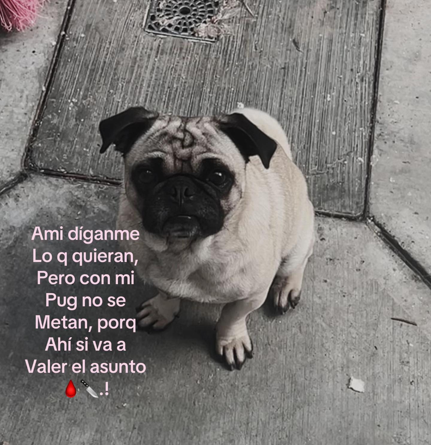 @Yamileth🎀🧸🌷