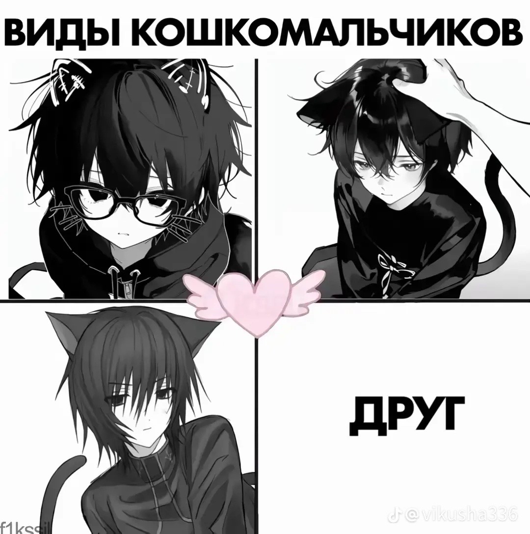 @binka🪽