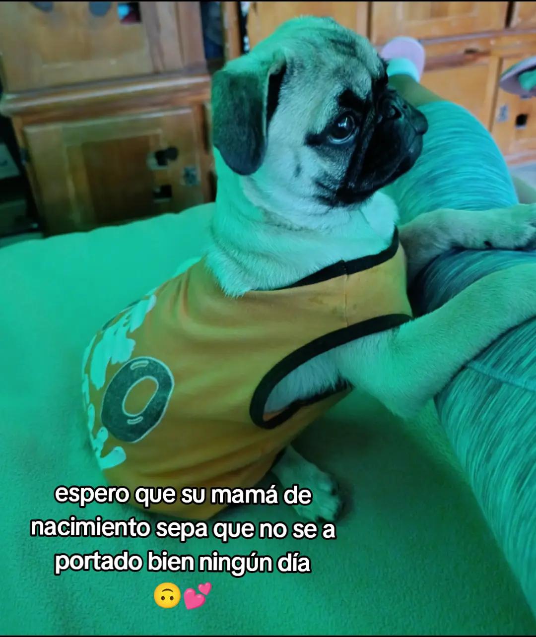 @✨Viri✨