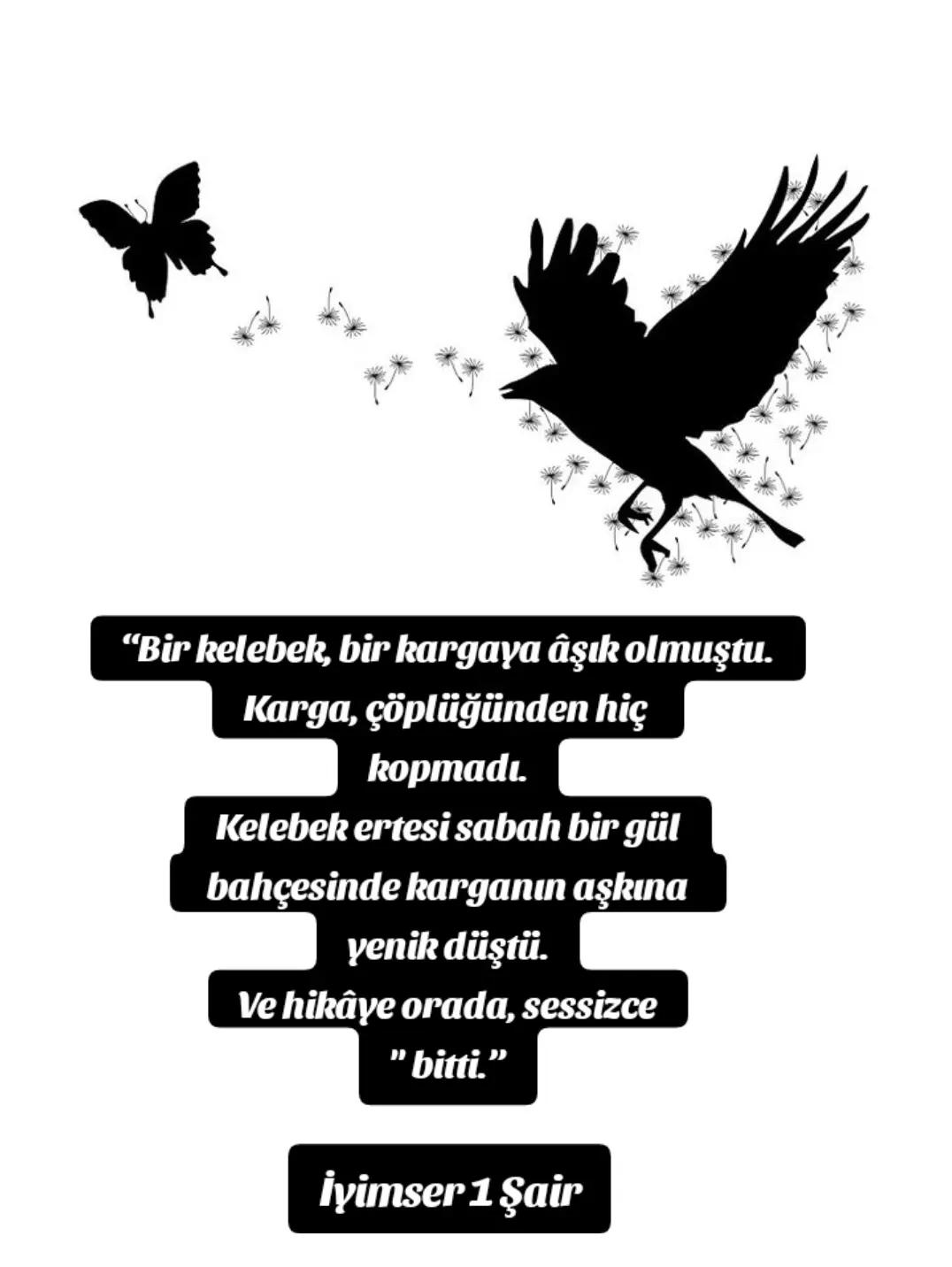 @🇹🇷 Zeynep 🇹🇷