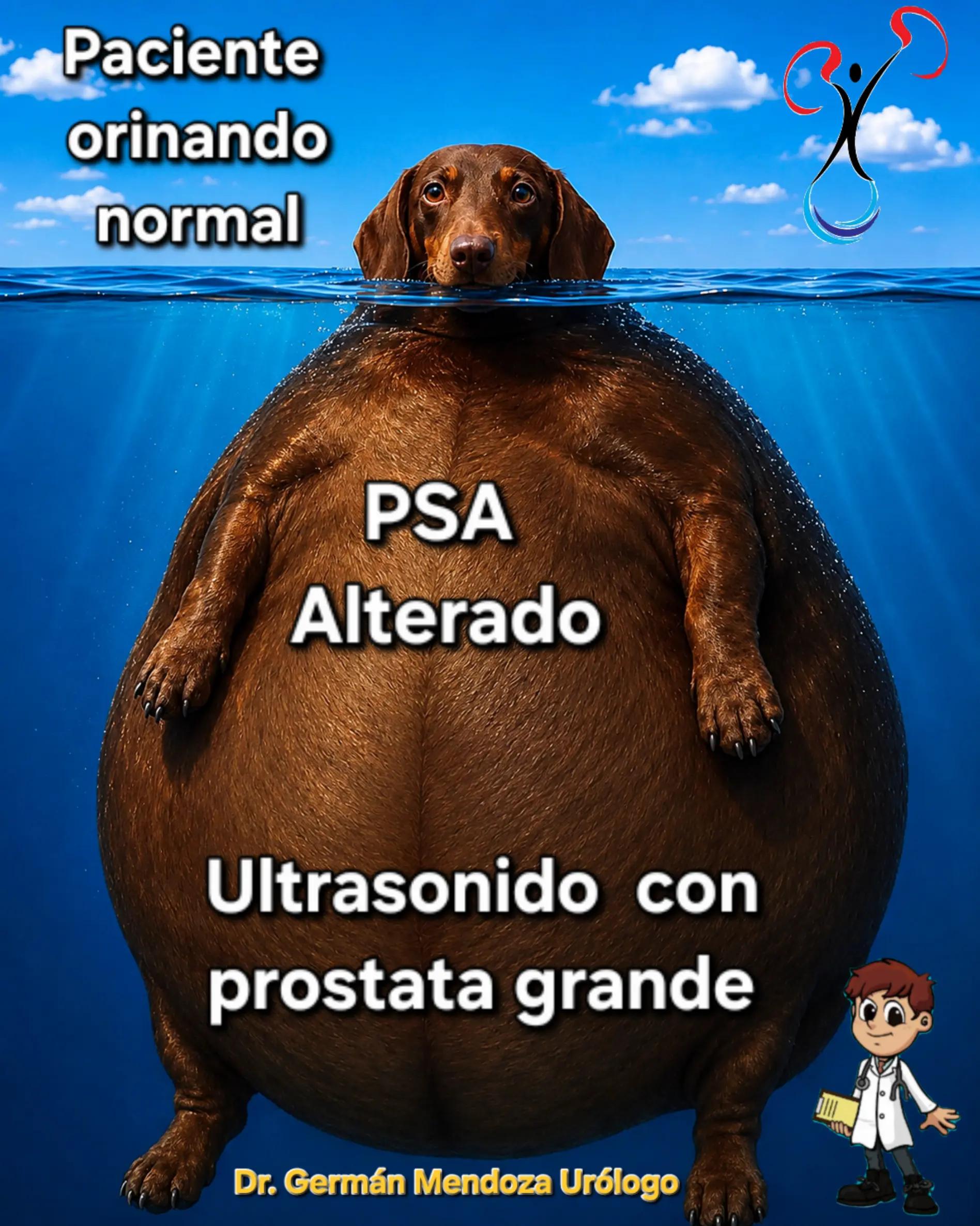 @Dr. German Mendoza Urólogo