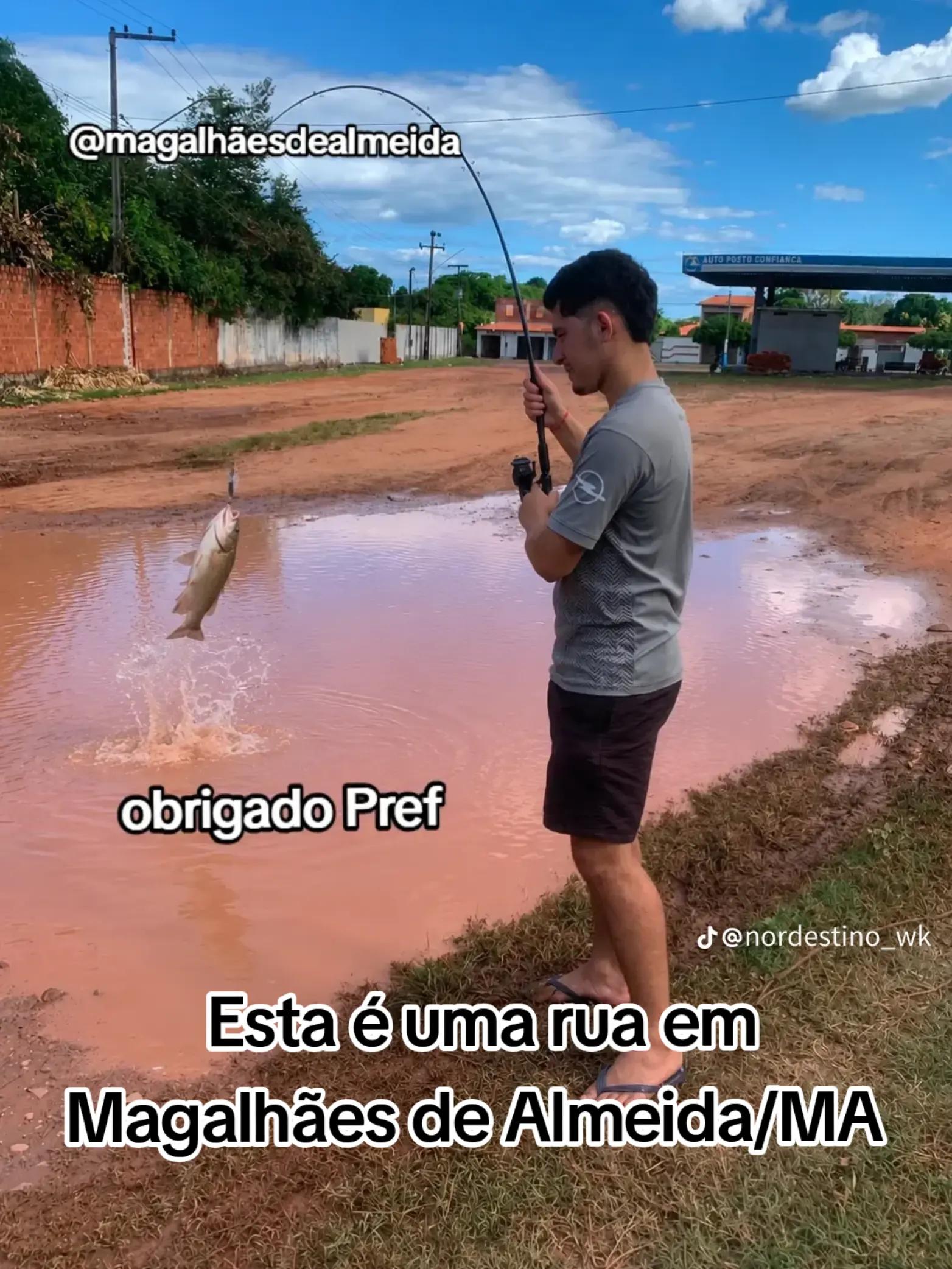 @Cintia Aires