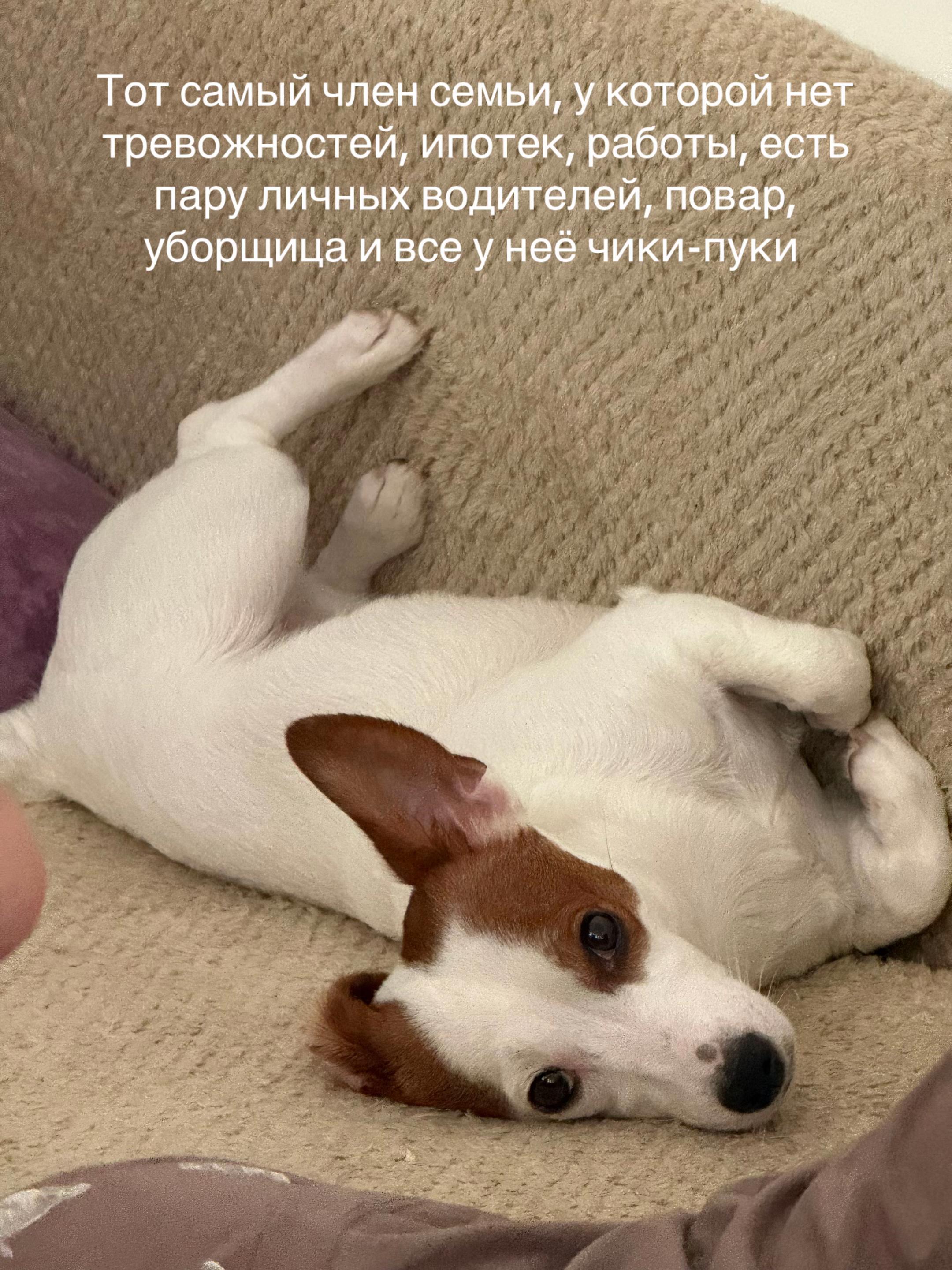 @KRIS