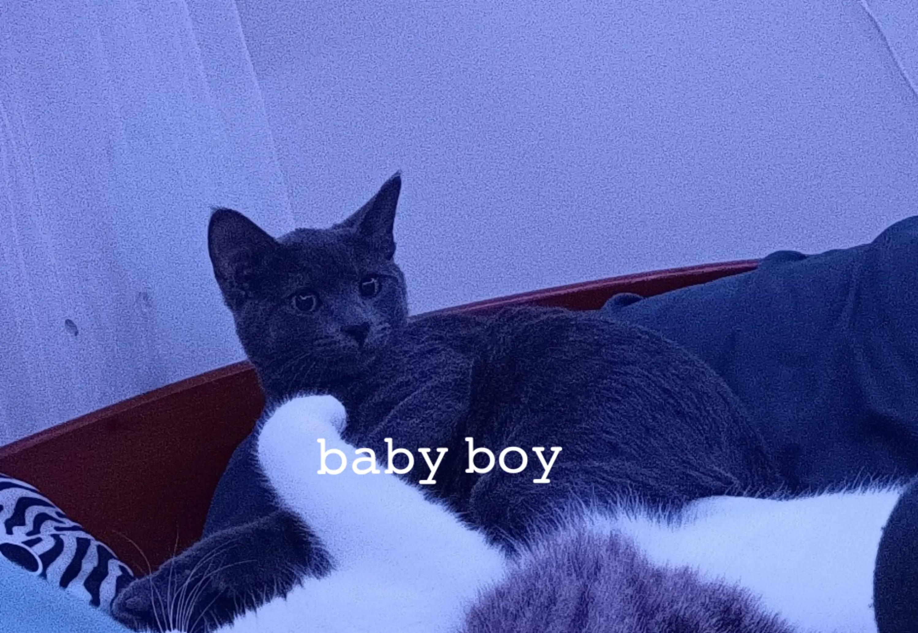 @𝑢𝑟𝑓𝑎𝑣𝑣_𝐿𝑖𝑙𝑦𝑦💋