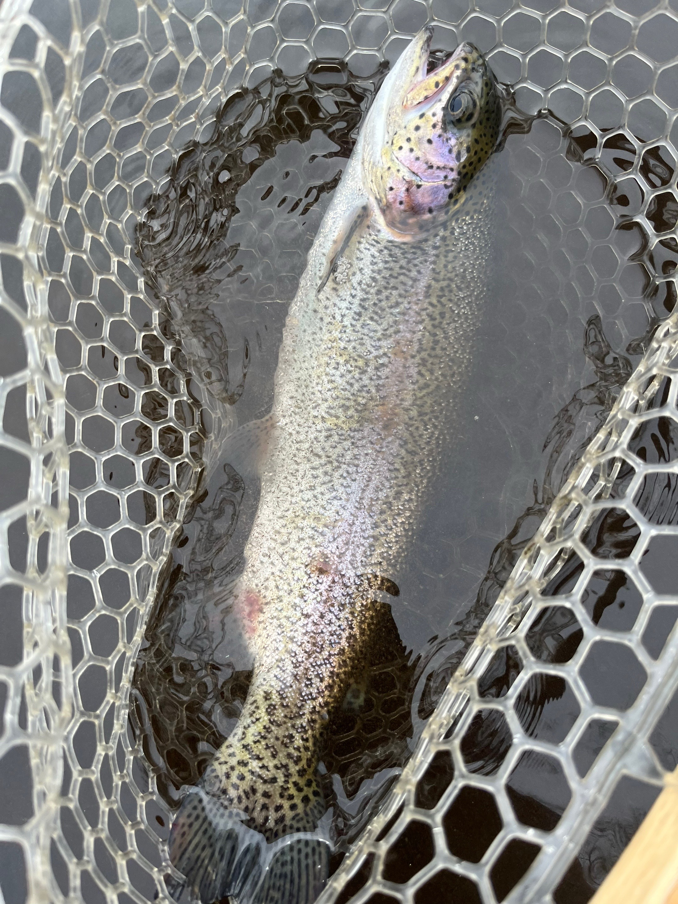 @lucky.hat.fly.fishing