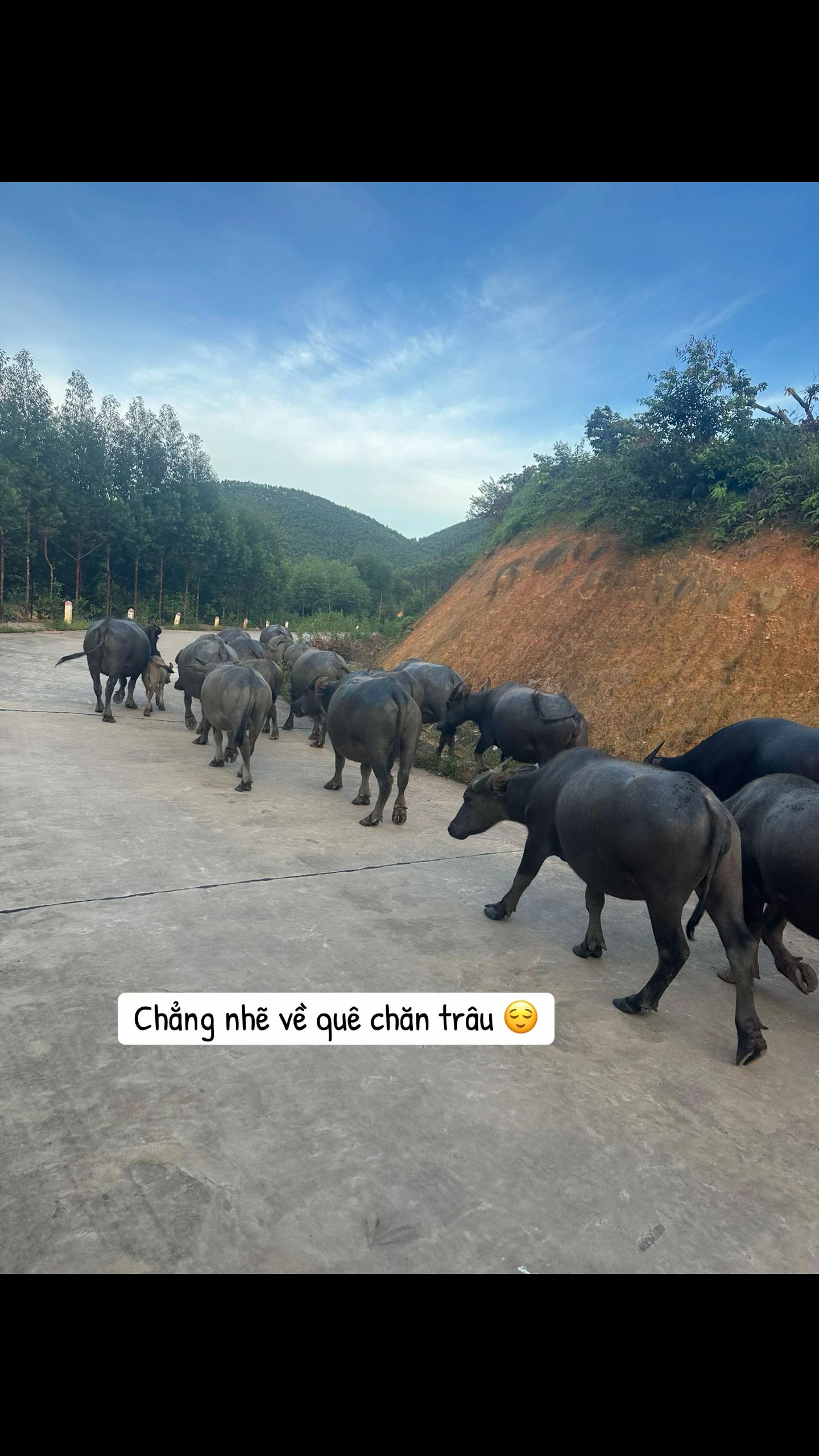@Yến Quỳnh 🩵