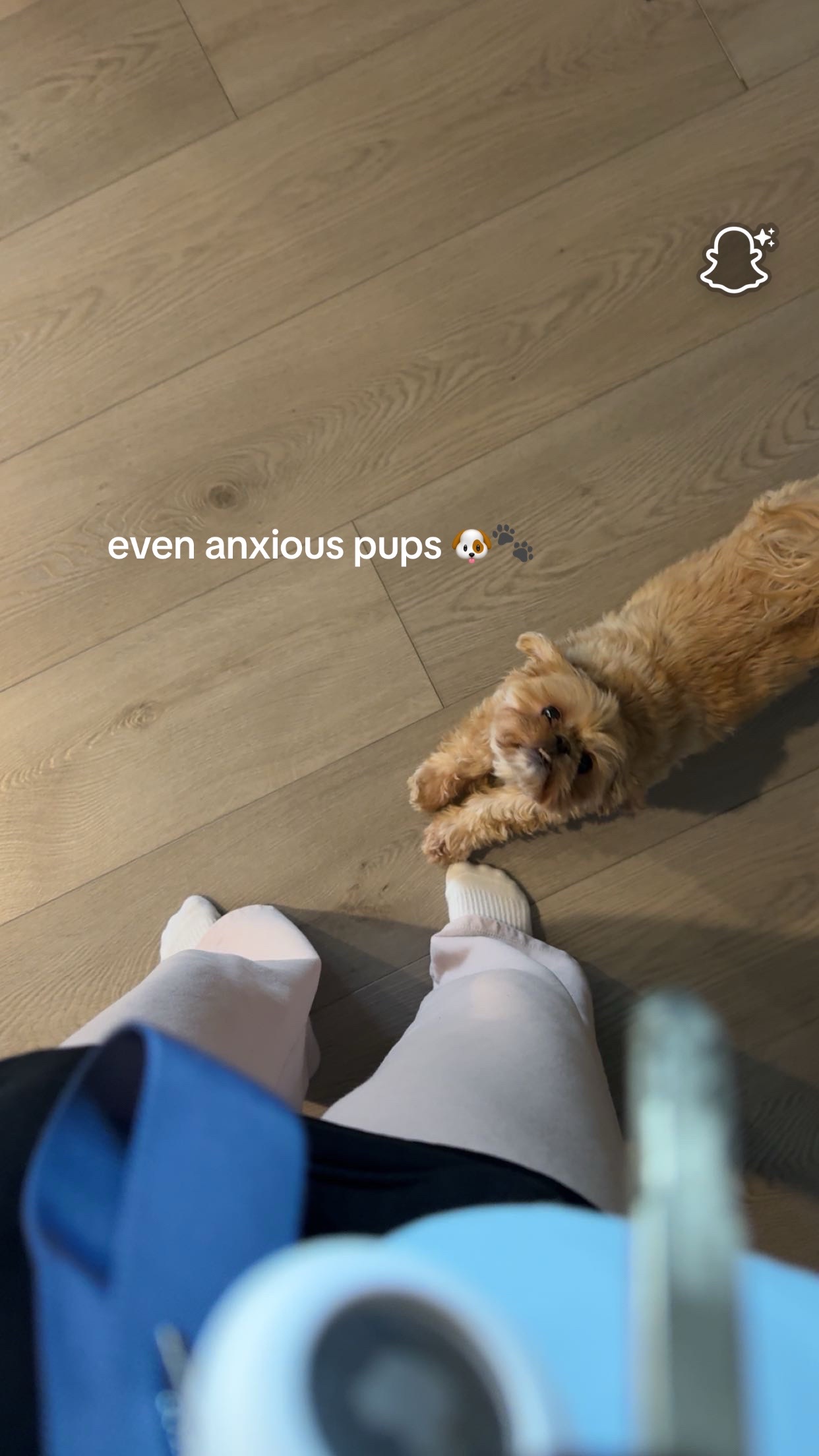 @secret spam🤫