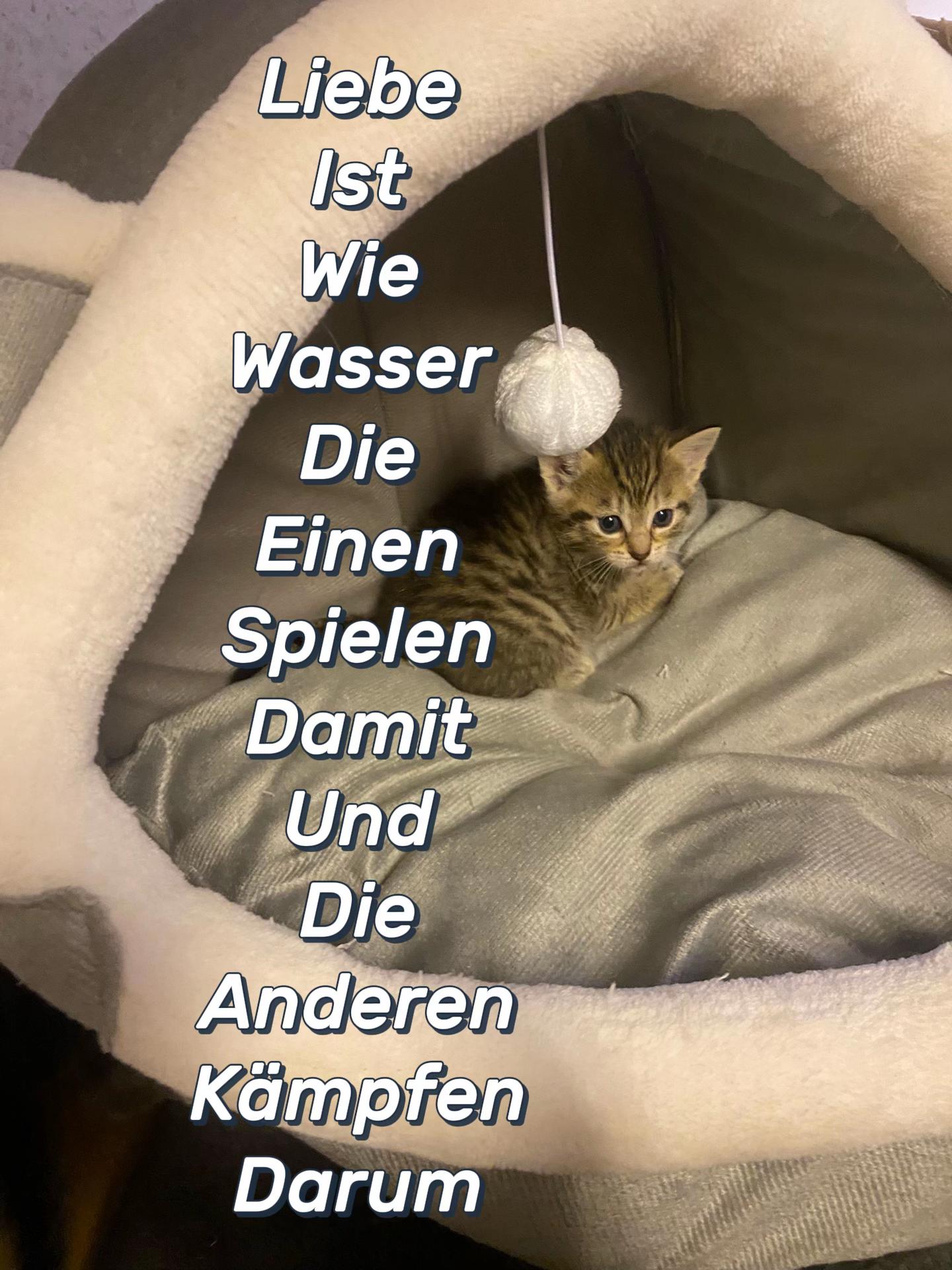 @M‘🌊