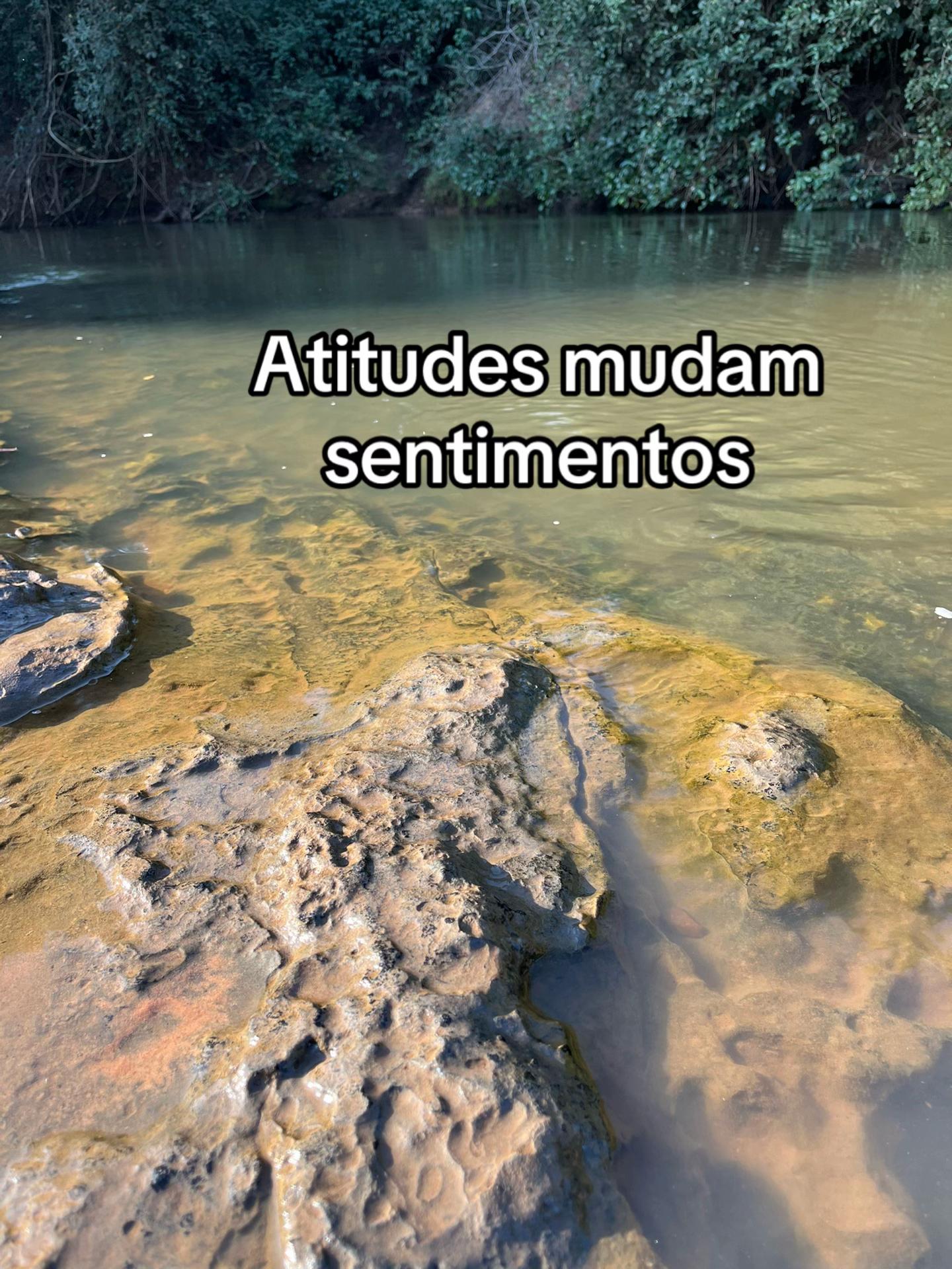 @✨Ketllyn Palermo✨