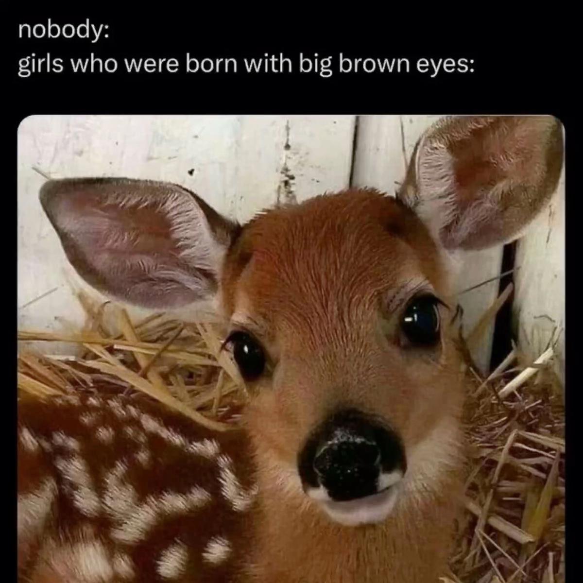@thegreenwoman