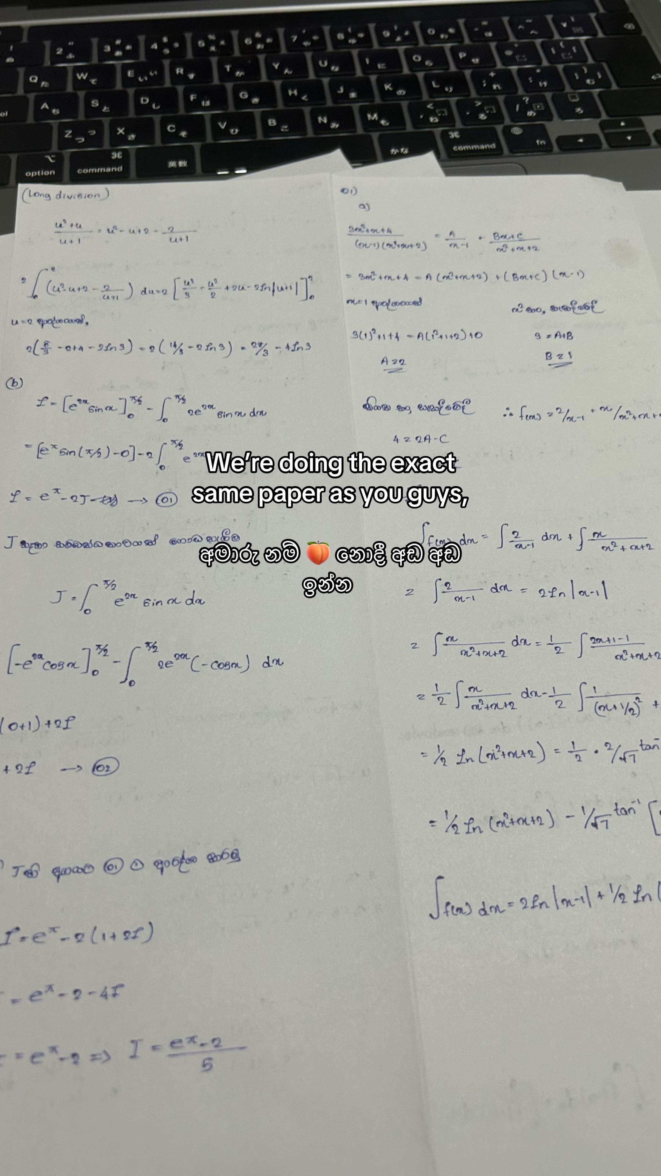 @🪷