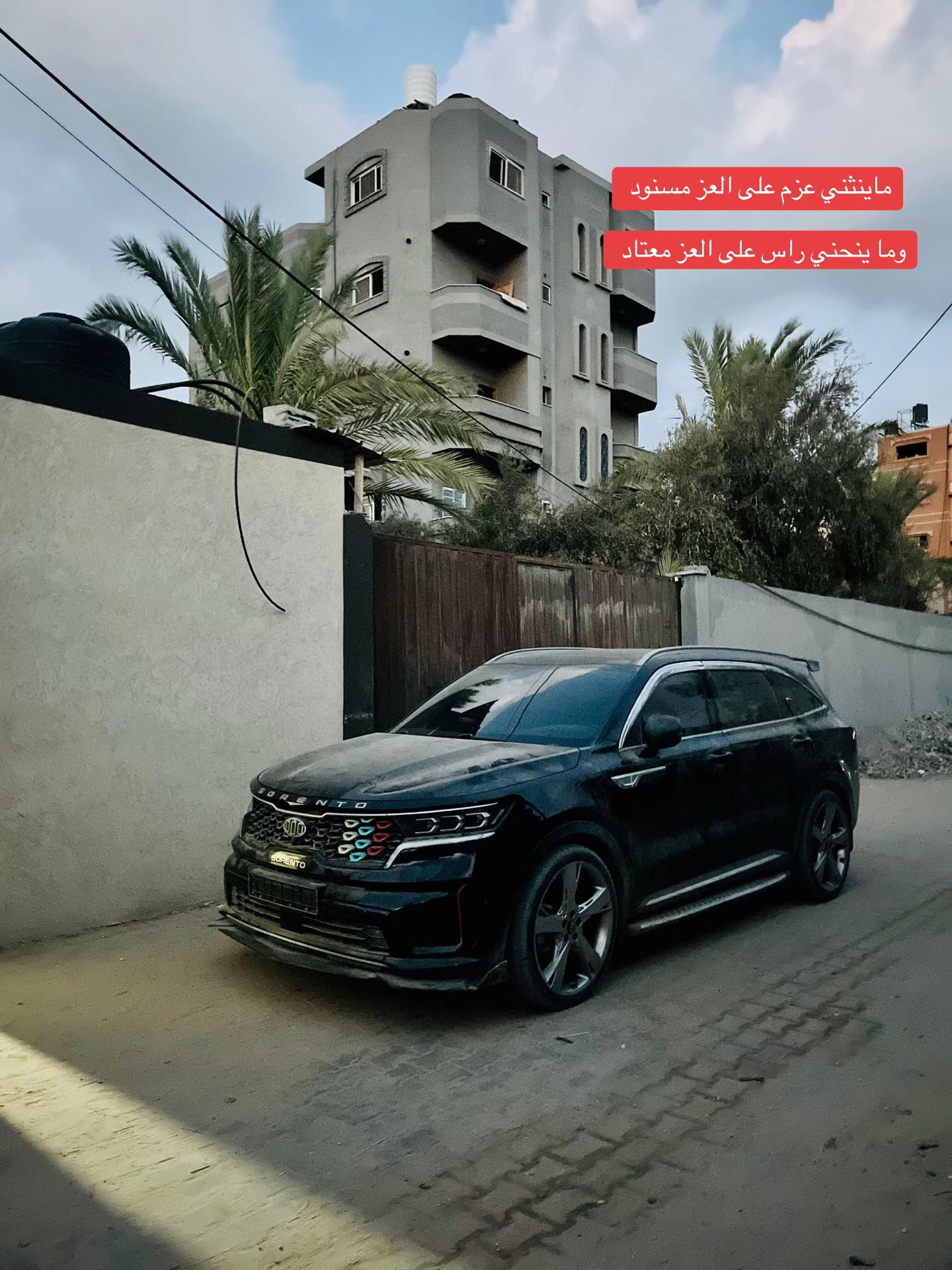 @شريف ابو مسعود