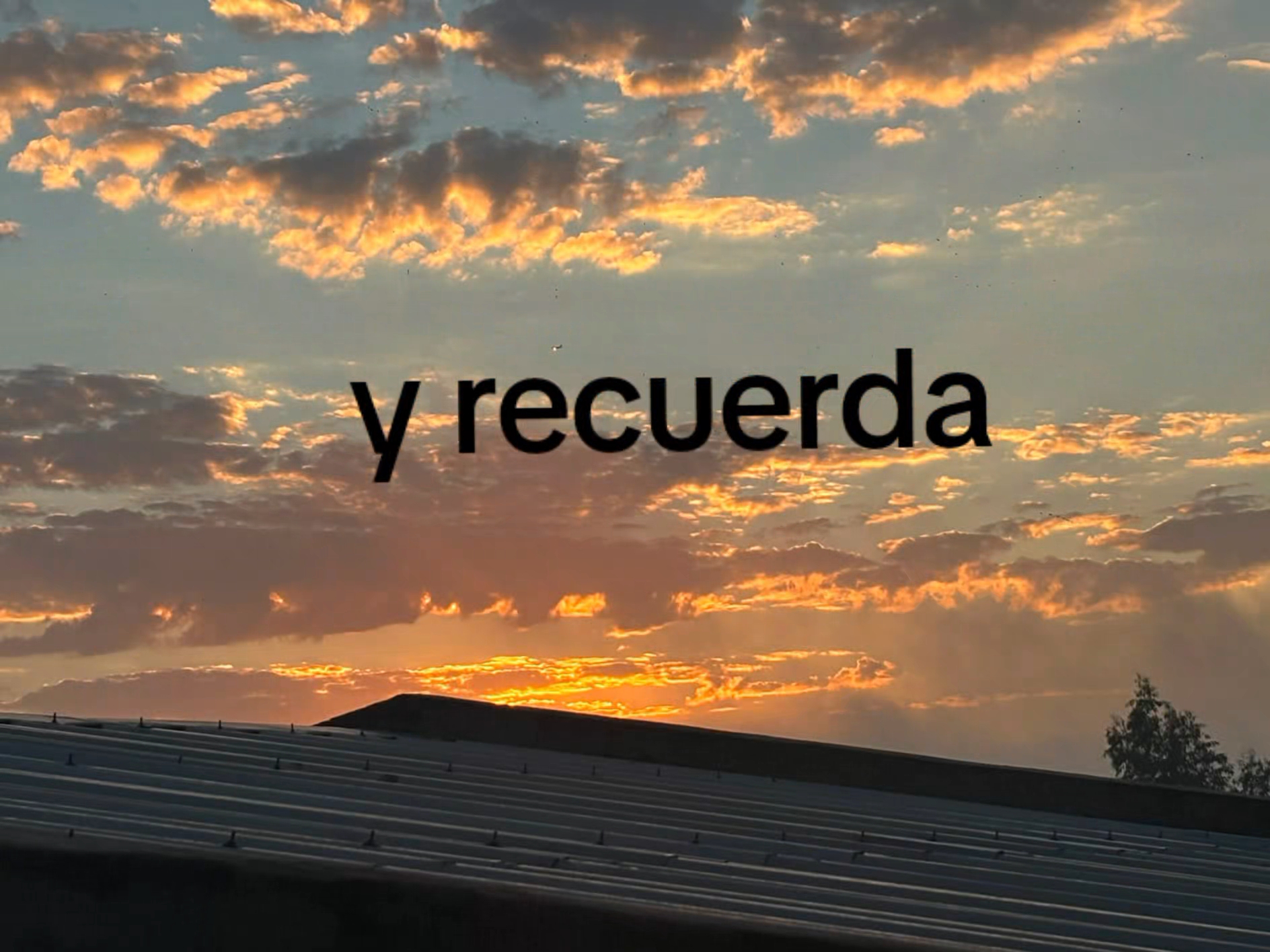 @Dulce Duarte🐣🐣