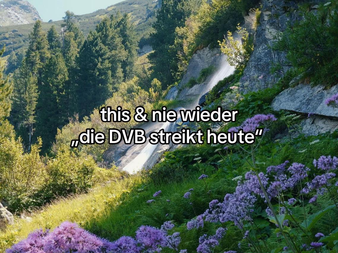@solebtdresden