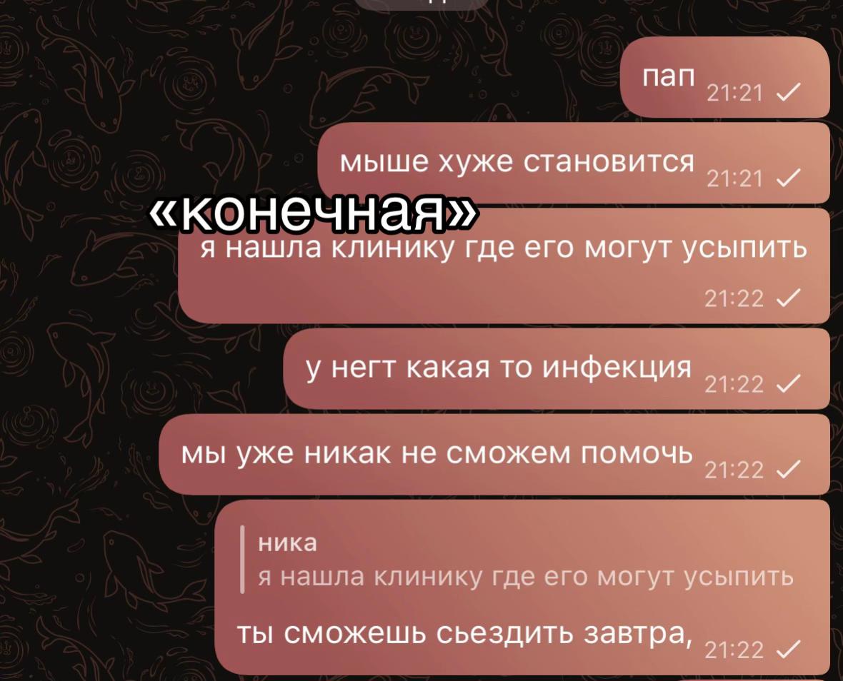 @нiщяз@й0с🐰