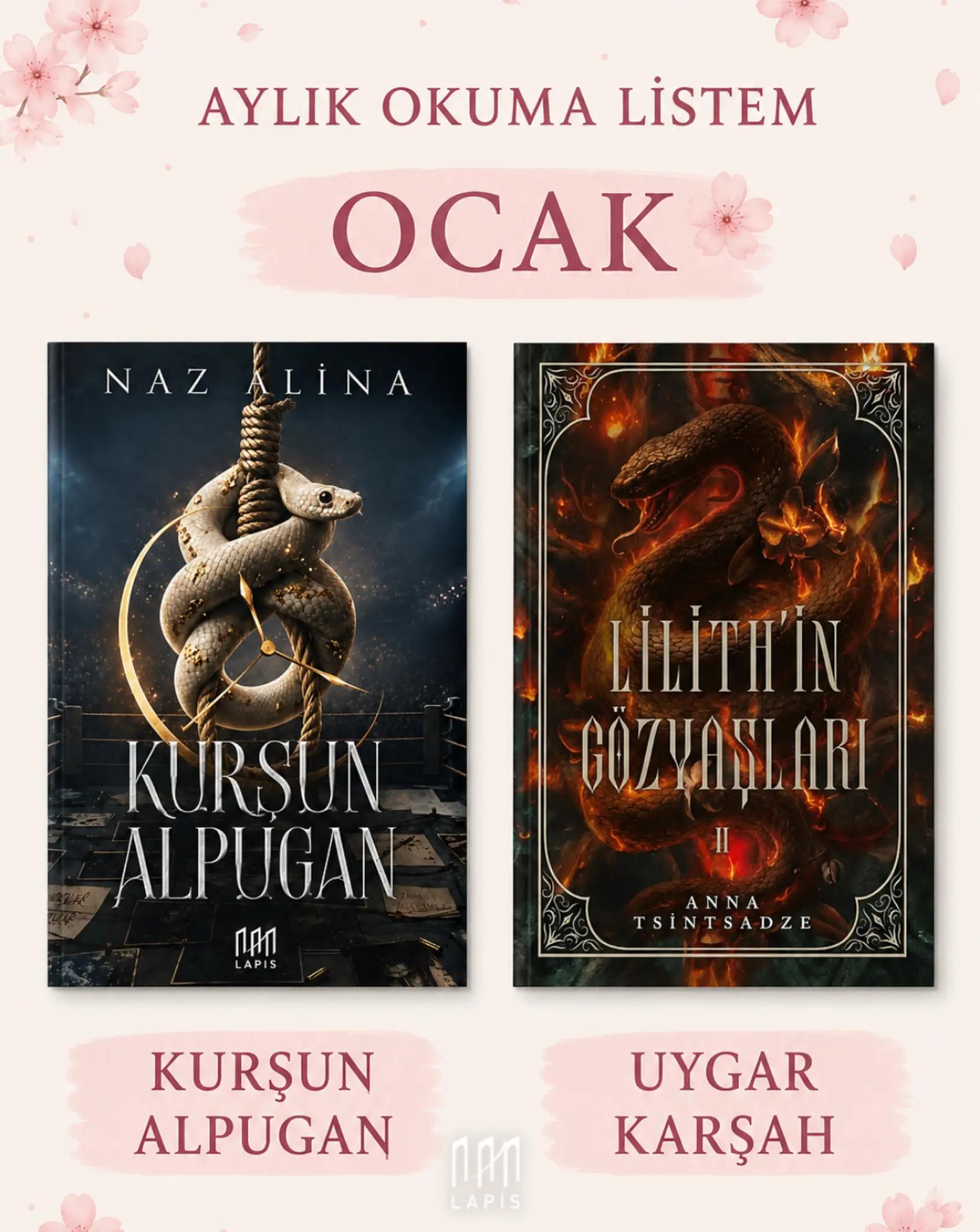 @LAPİS YAYINLARI