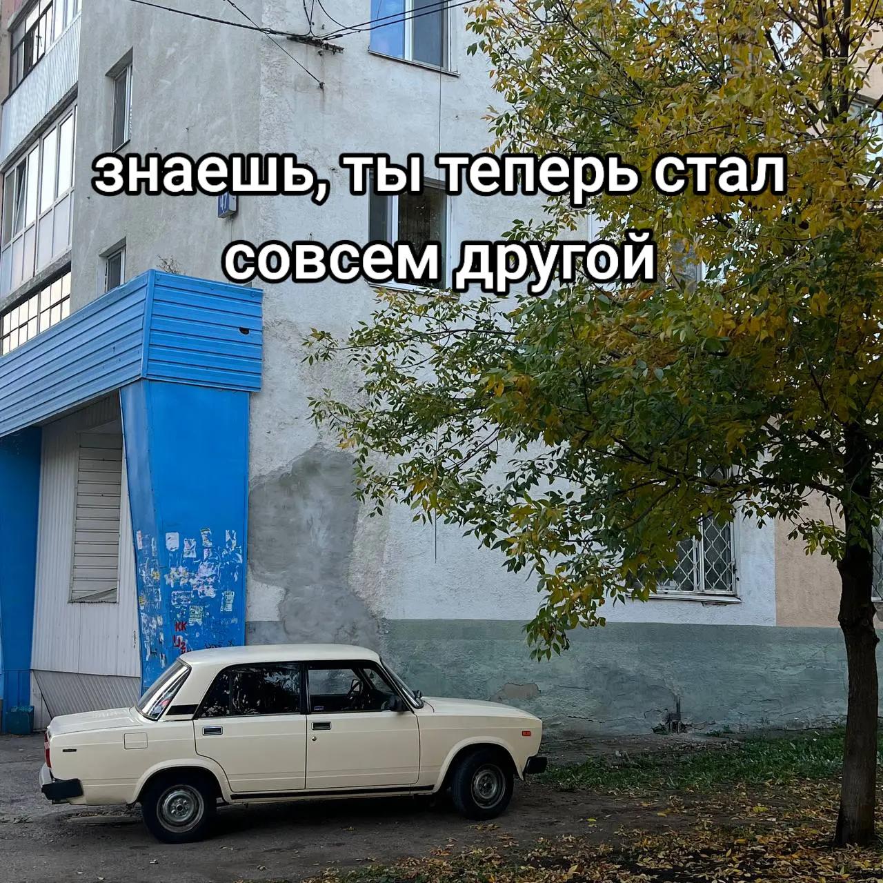 @TGK: БУНКЕР НИЧИКОСА