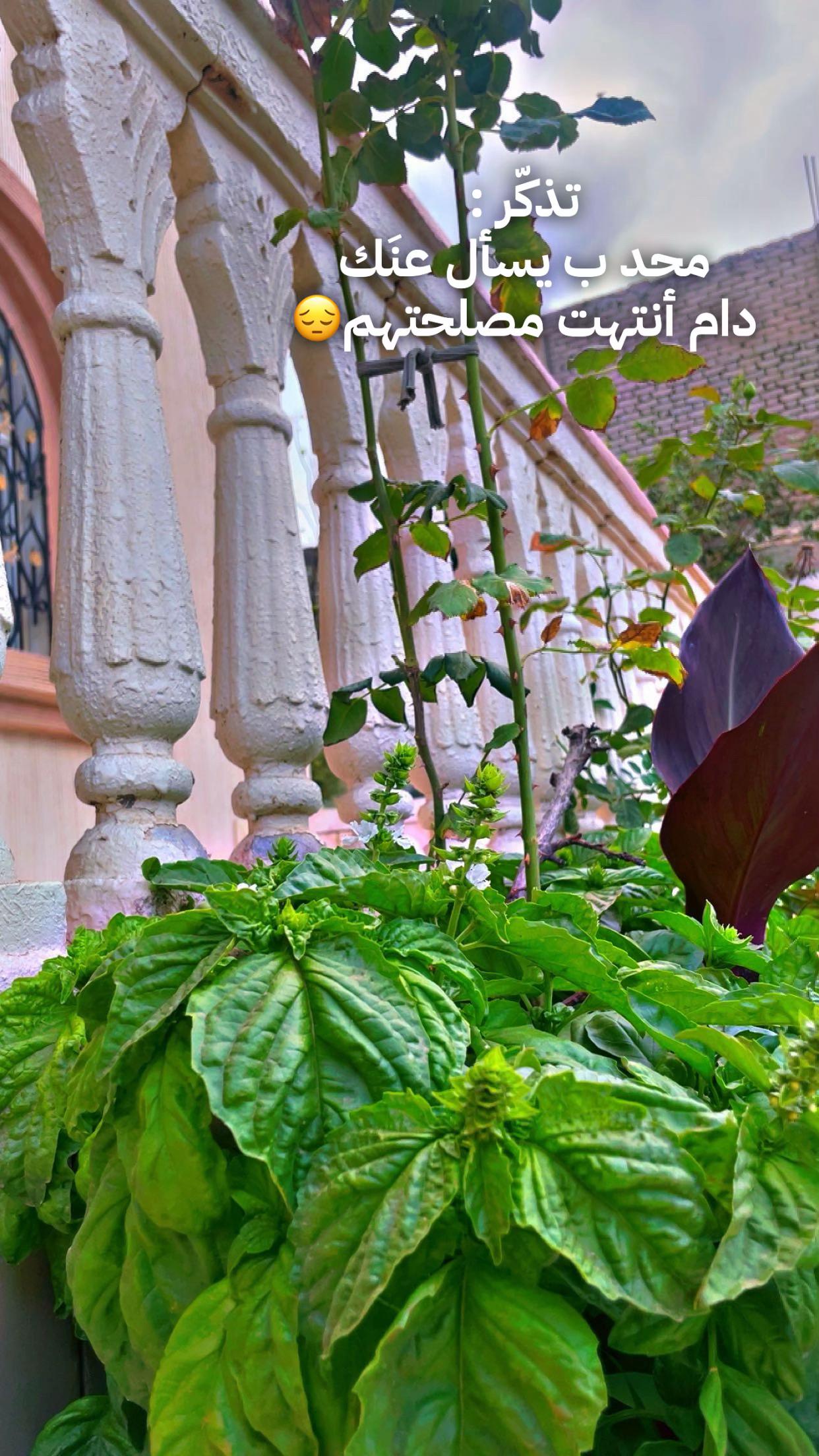 @NawaL1400