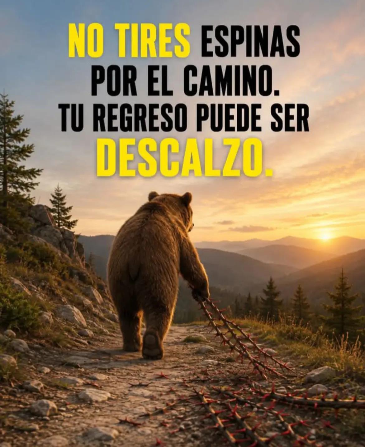 @yeison Ramirez 🇨🇴