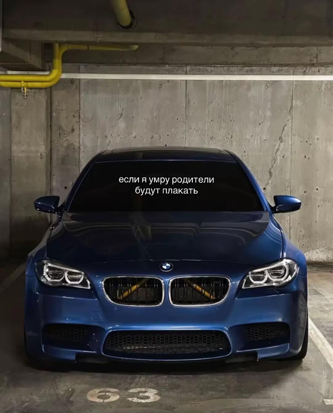 @who, your?