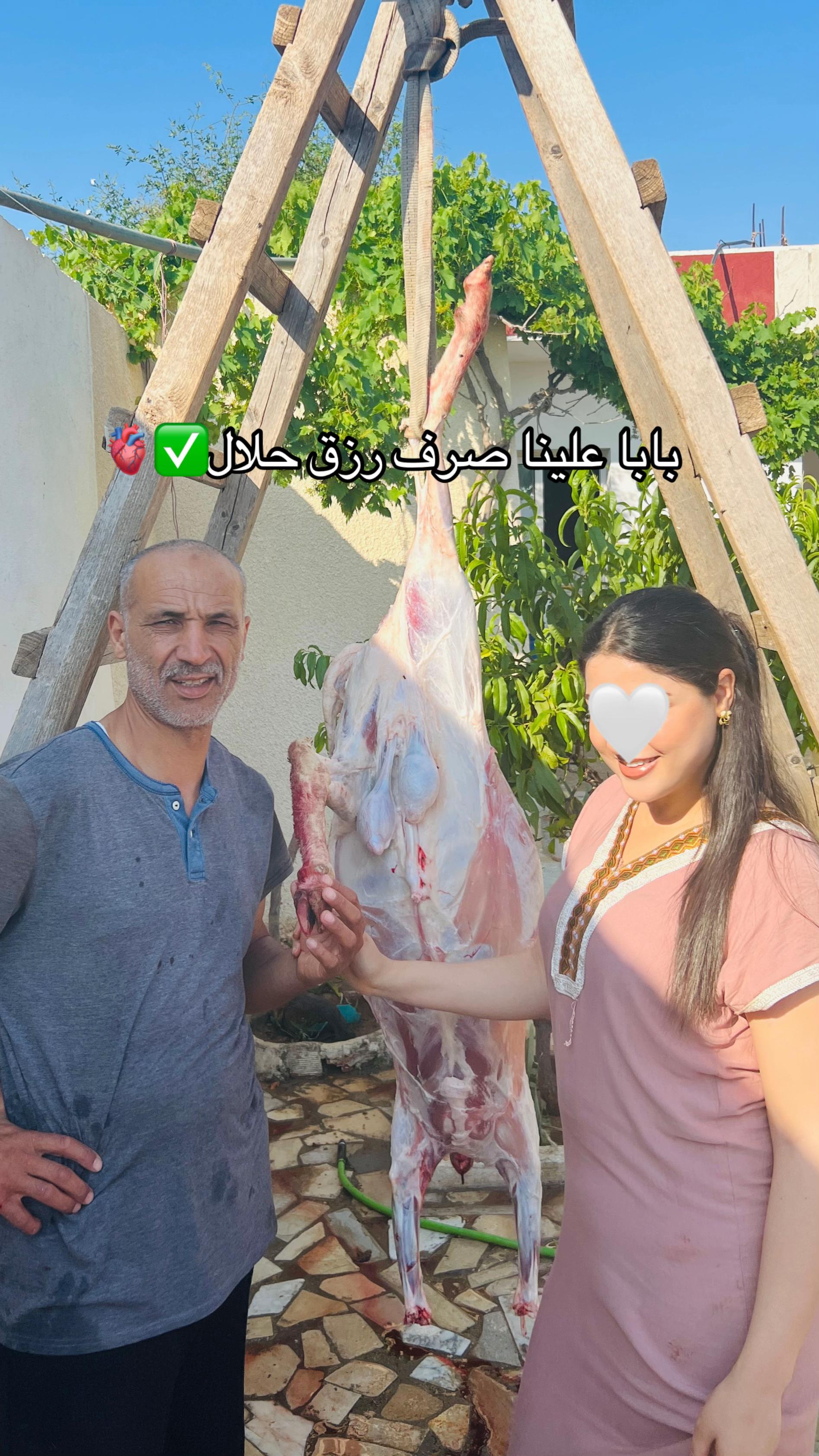 @🦋ROUROU🇹🇳