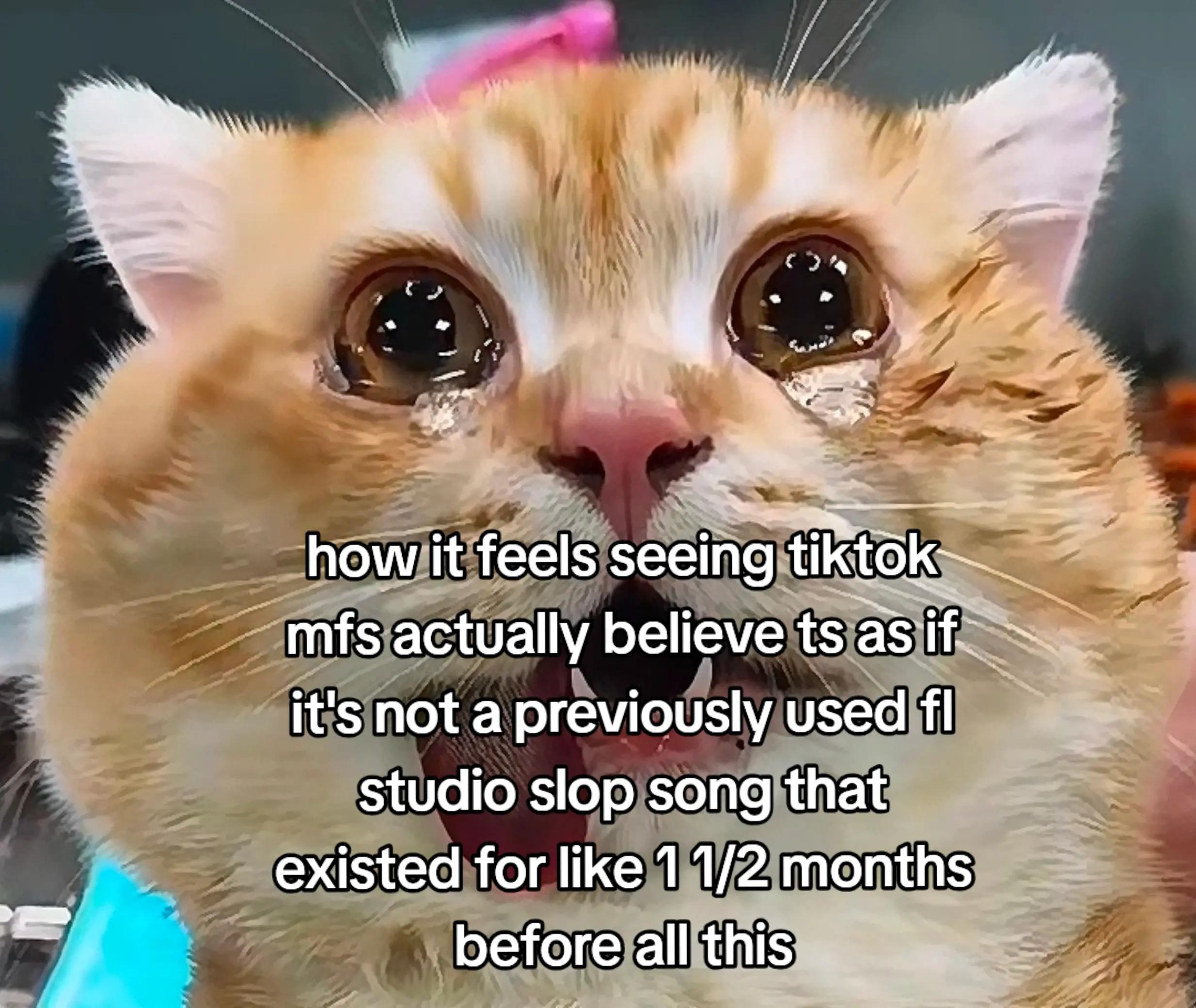 @HammYnCheez