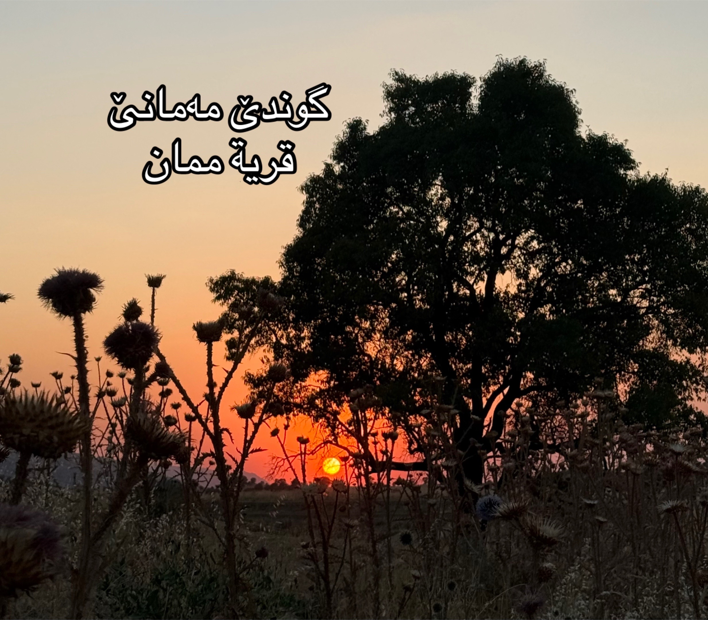 @Zaid Brifkani MDزيد بريفكاني