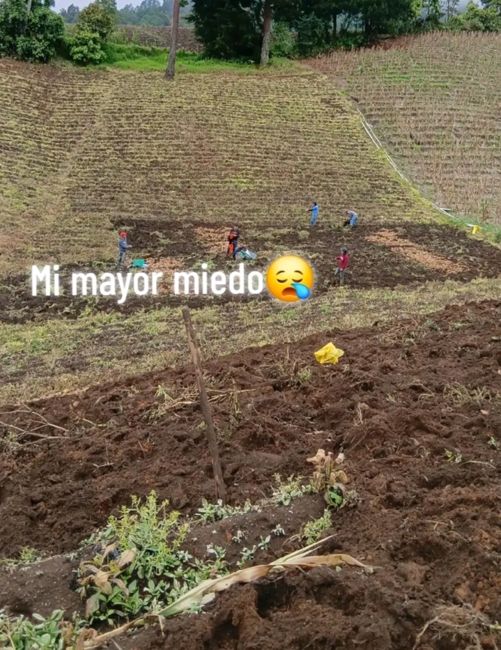 @🏎️💸Lopéz🍀🥷