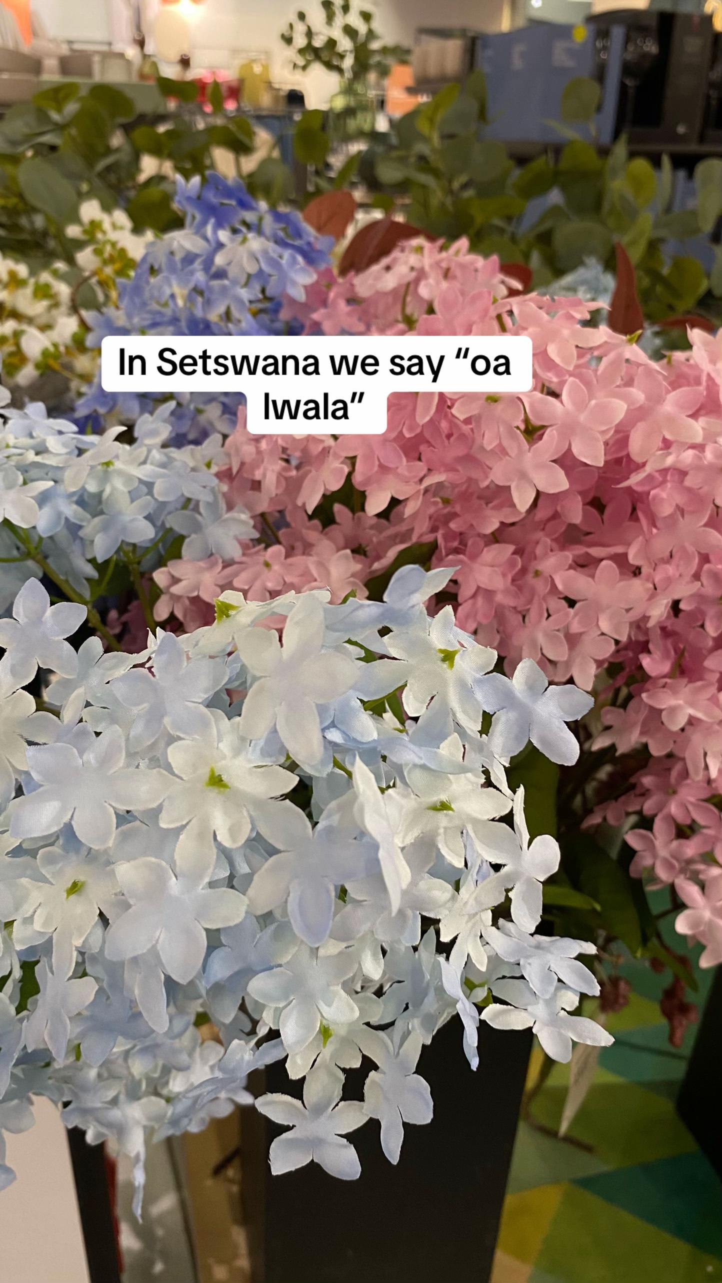 @Maungo Mangadi