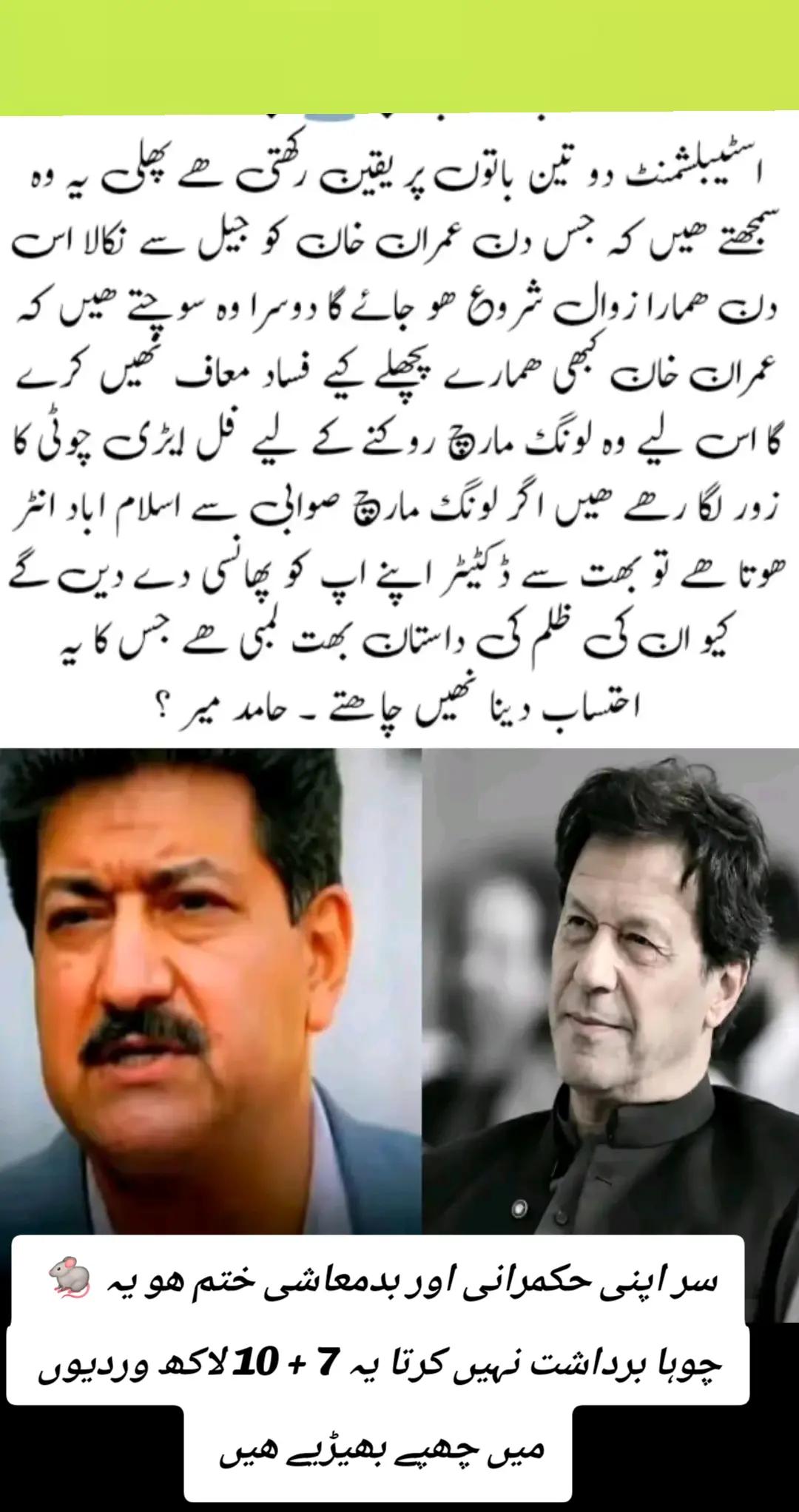 @اڈیالہ 804