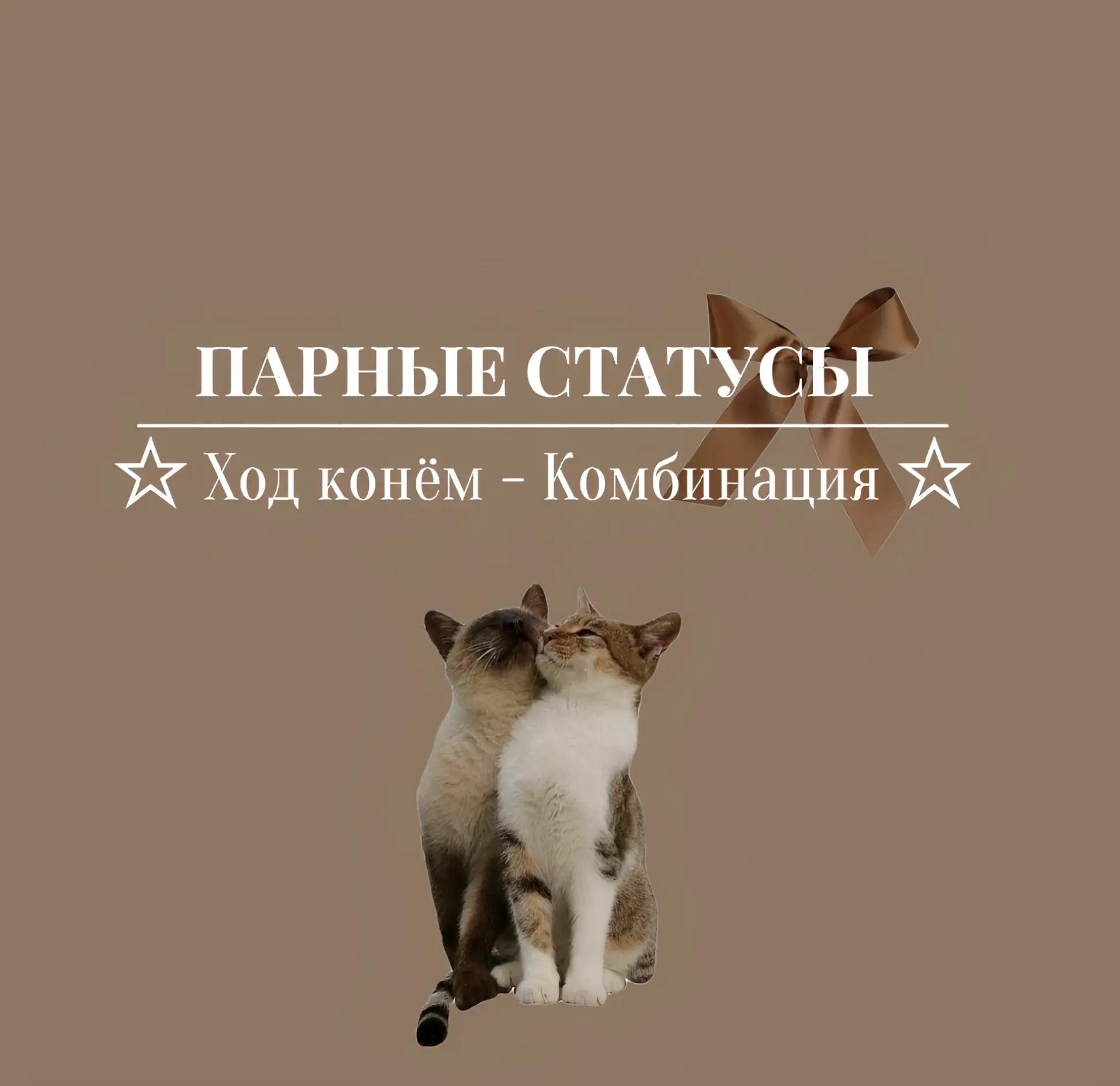 @ᅠᅠ𝅄 ་ .𝓠fj ͜ⱺ𝓽𝗋yh ᨦ . ۟