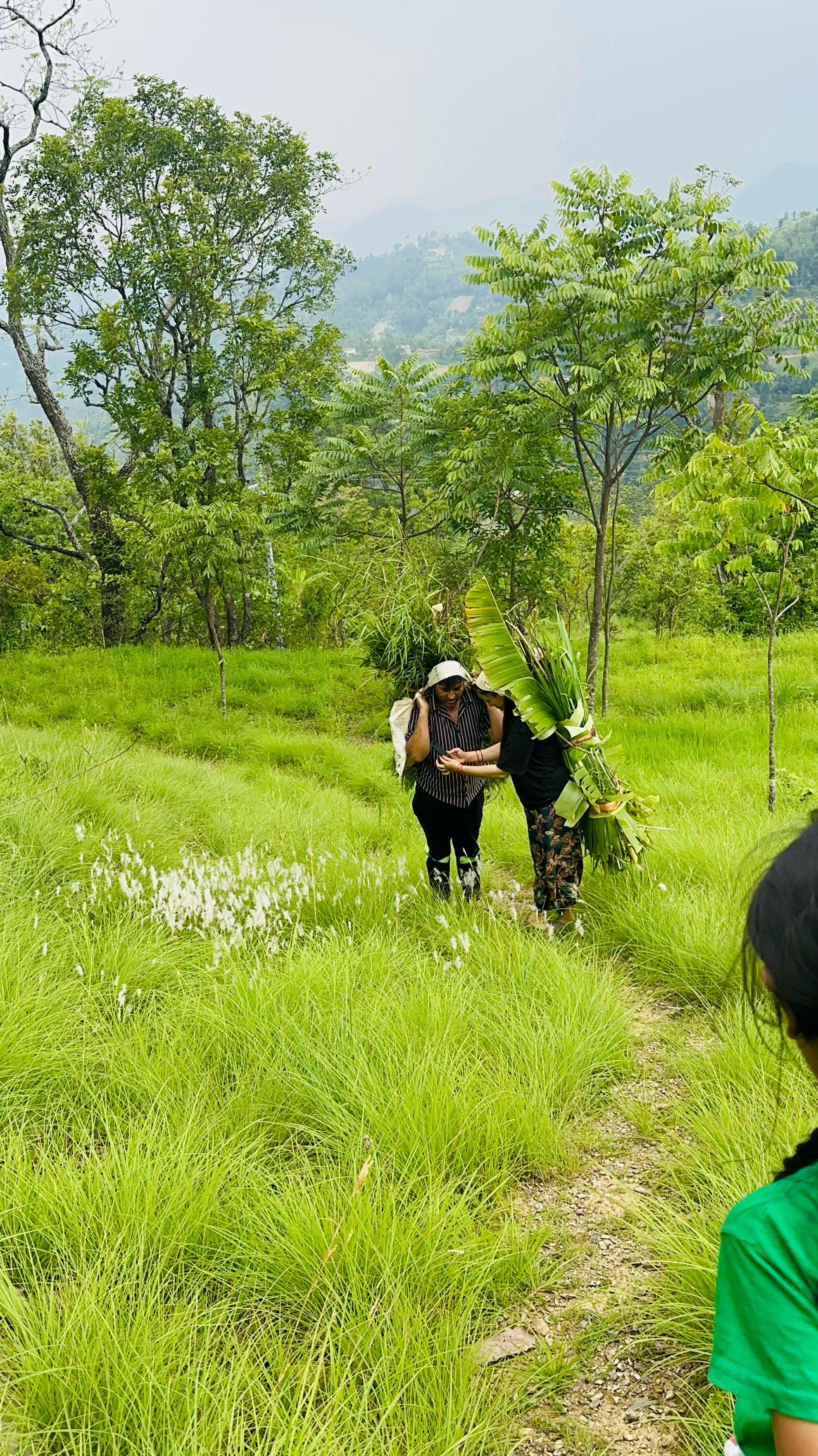 @कृण्ण प्रसाद ज्ञवाली