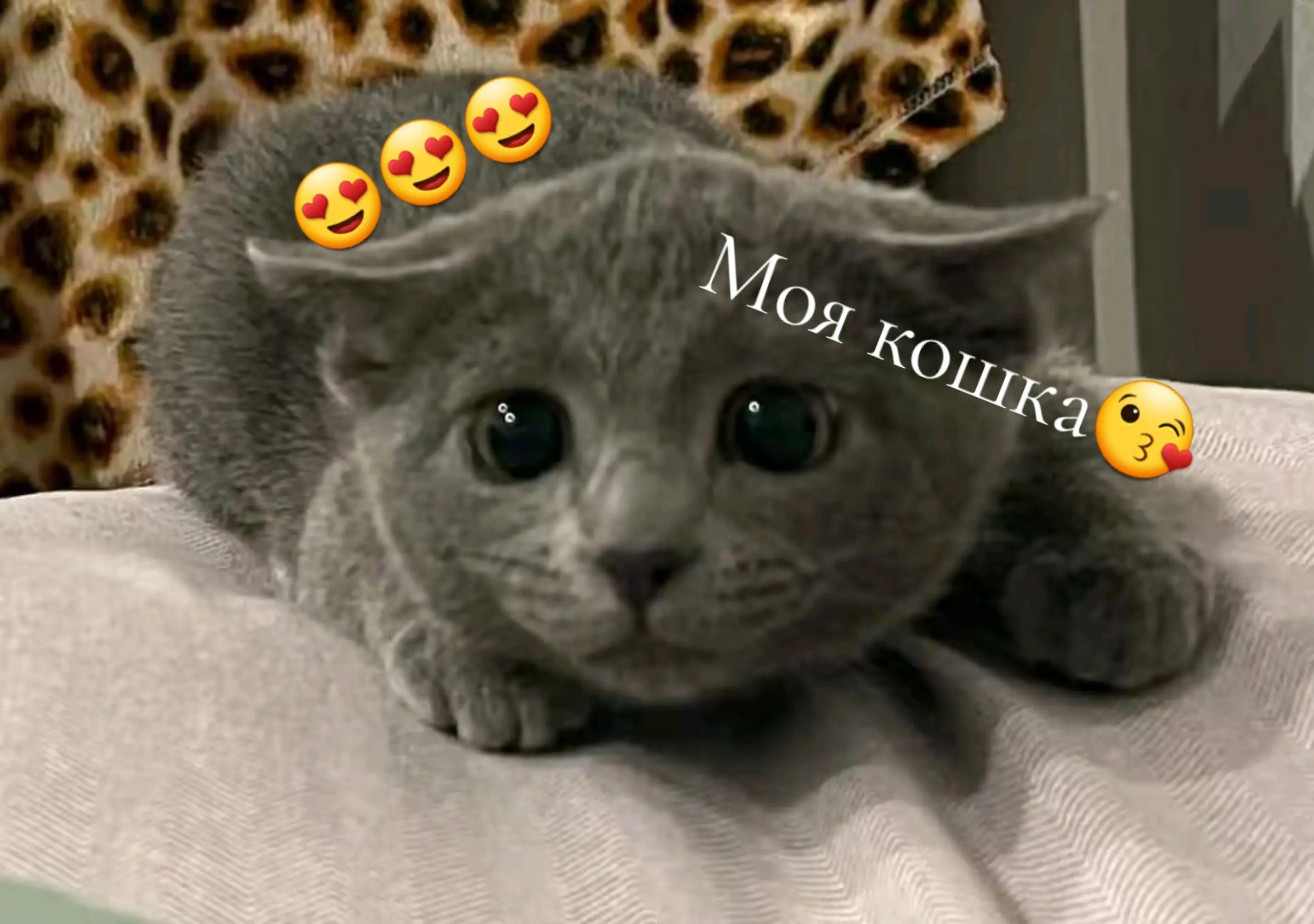 @Иван или просто Ваня