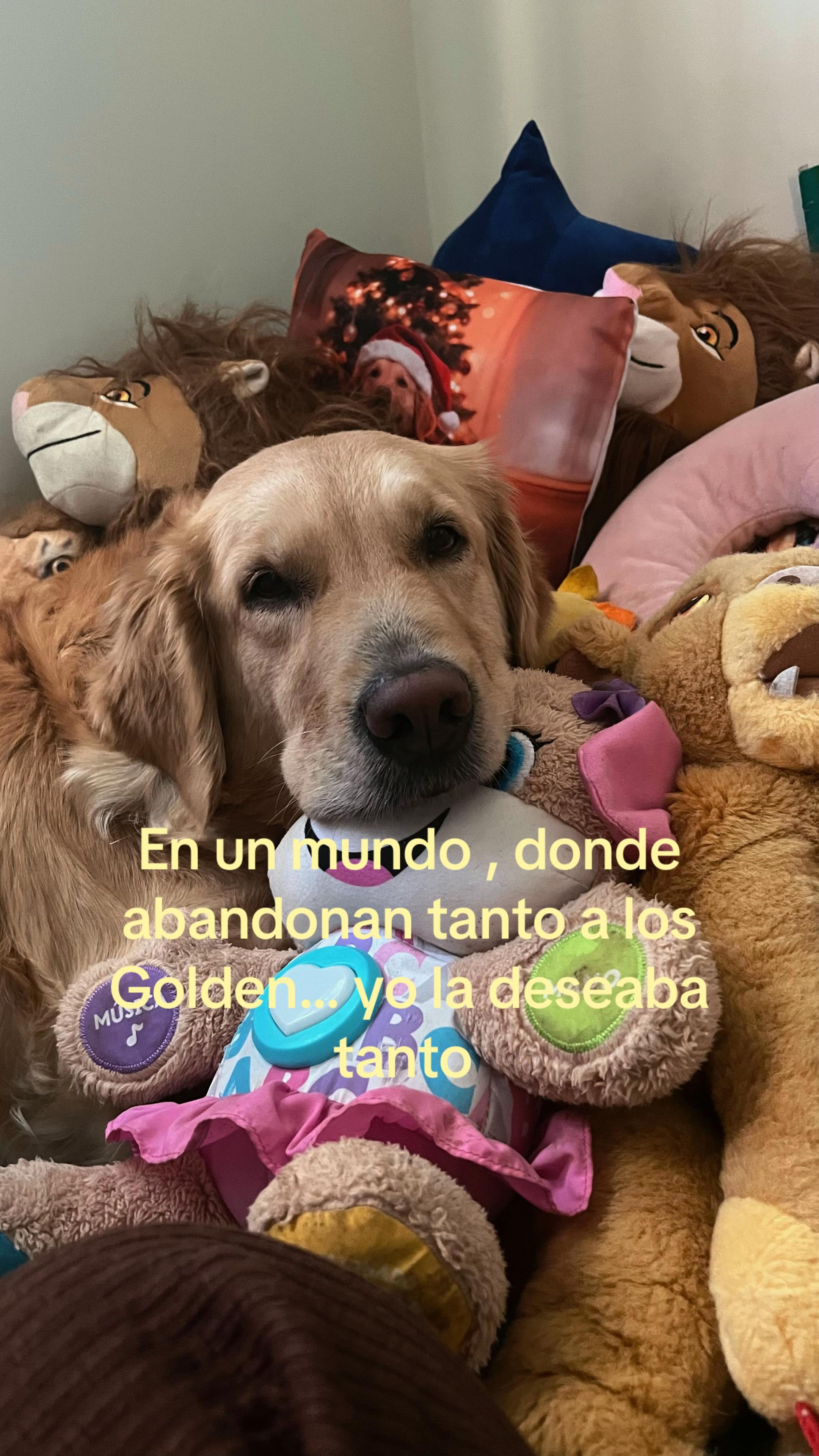 @Yare | mam&aacute; azul