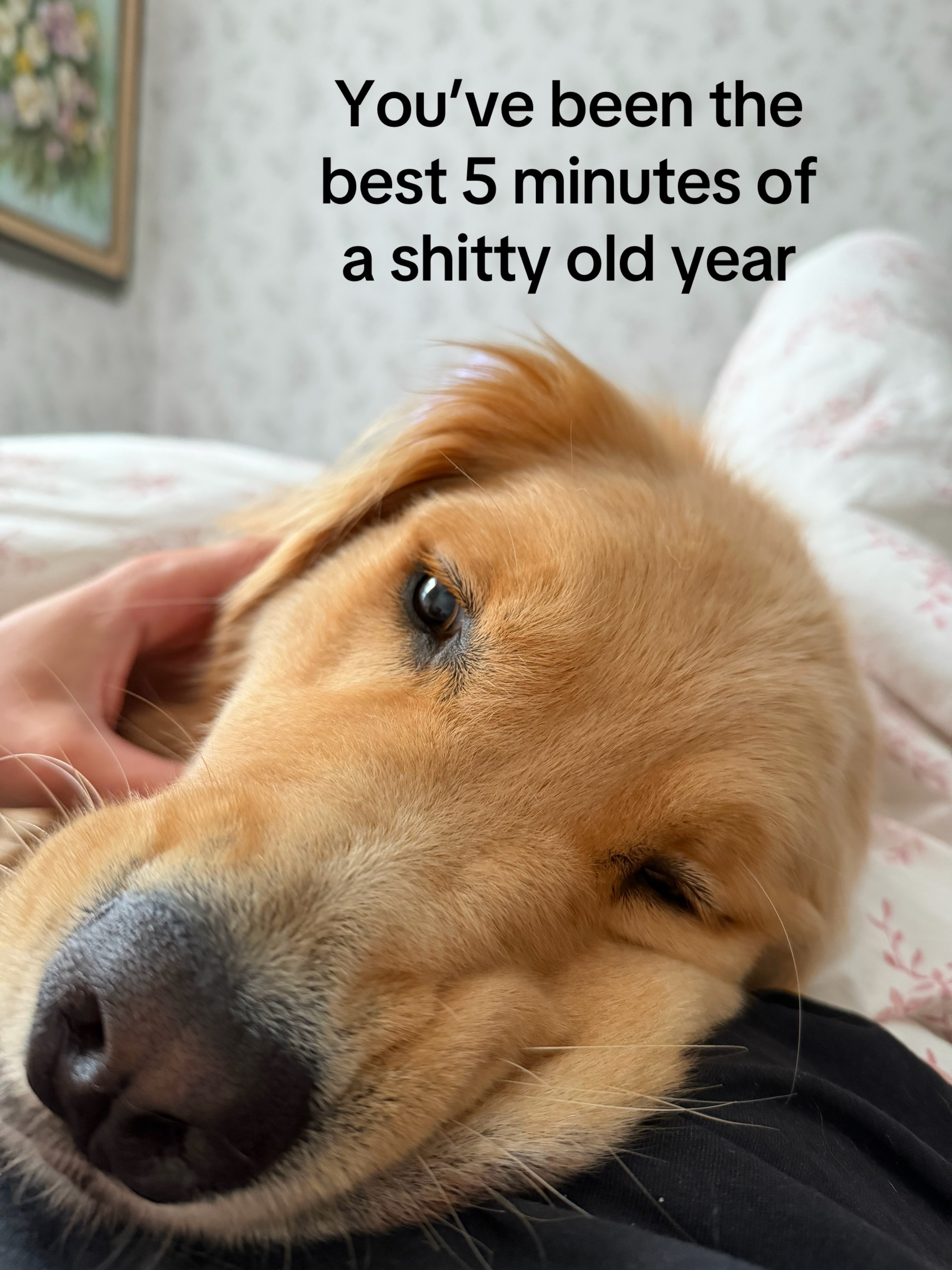 @Winter the Golden