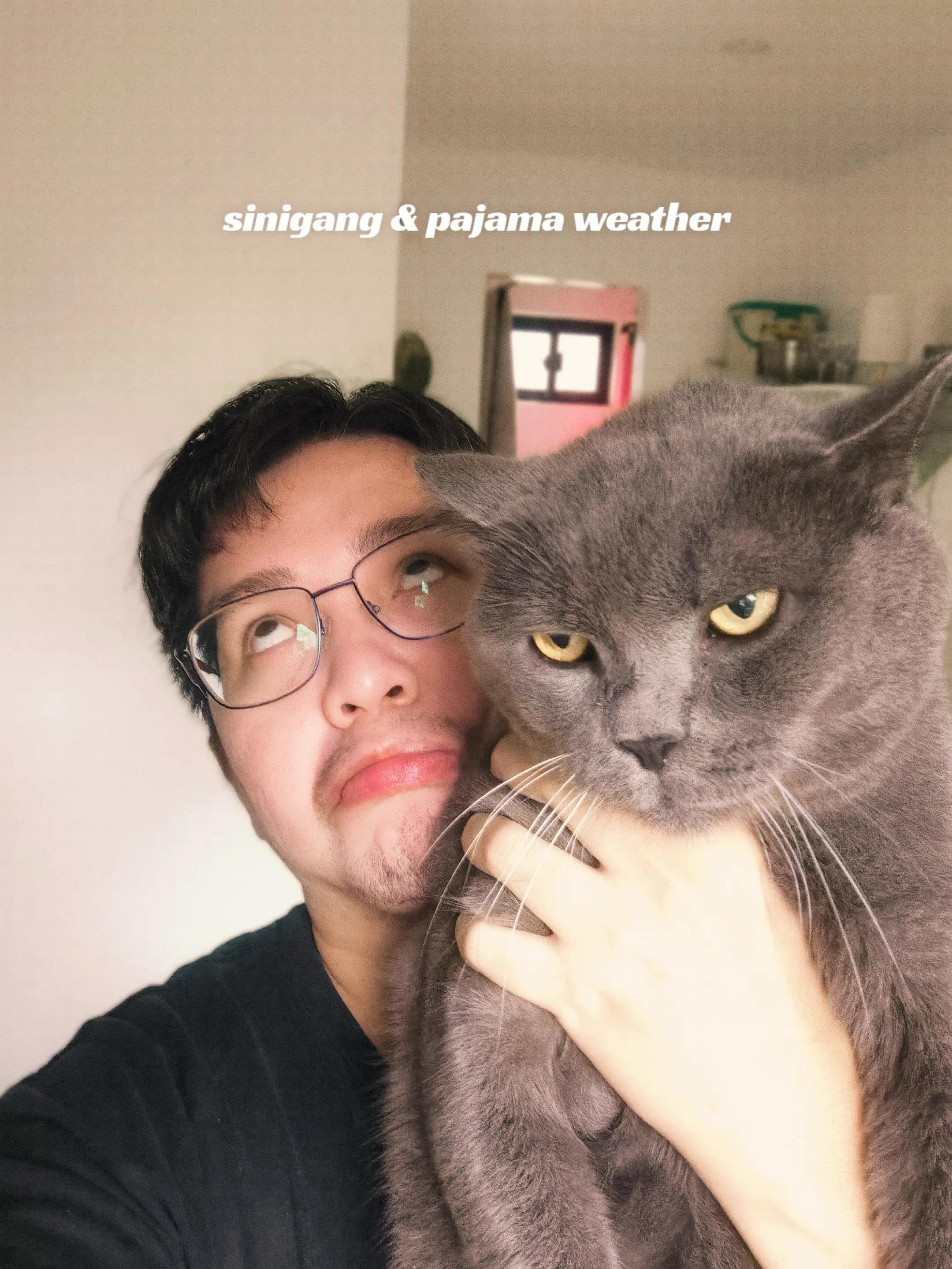 @Pete Comanda on Spotify