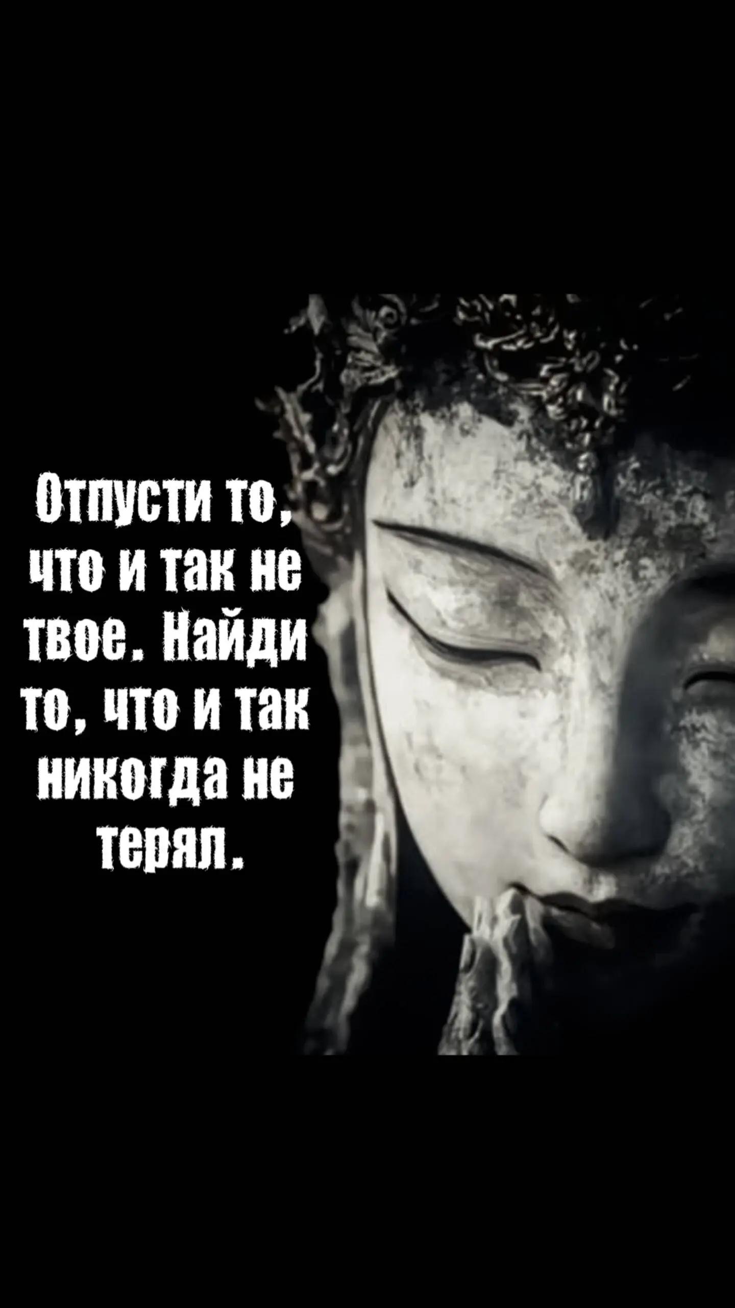 @Пожилой паук