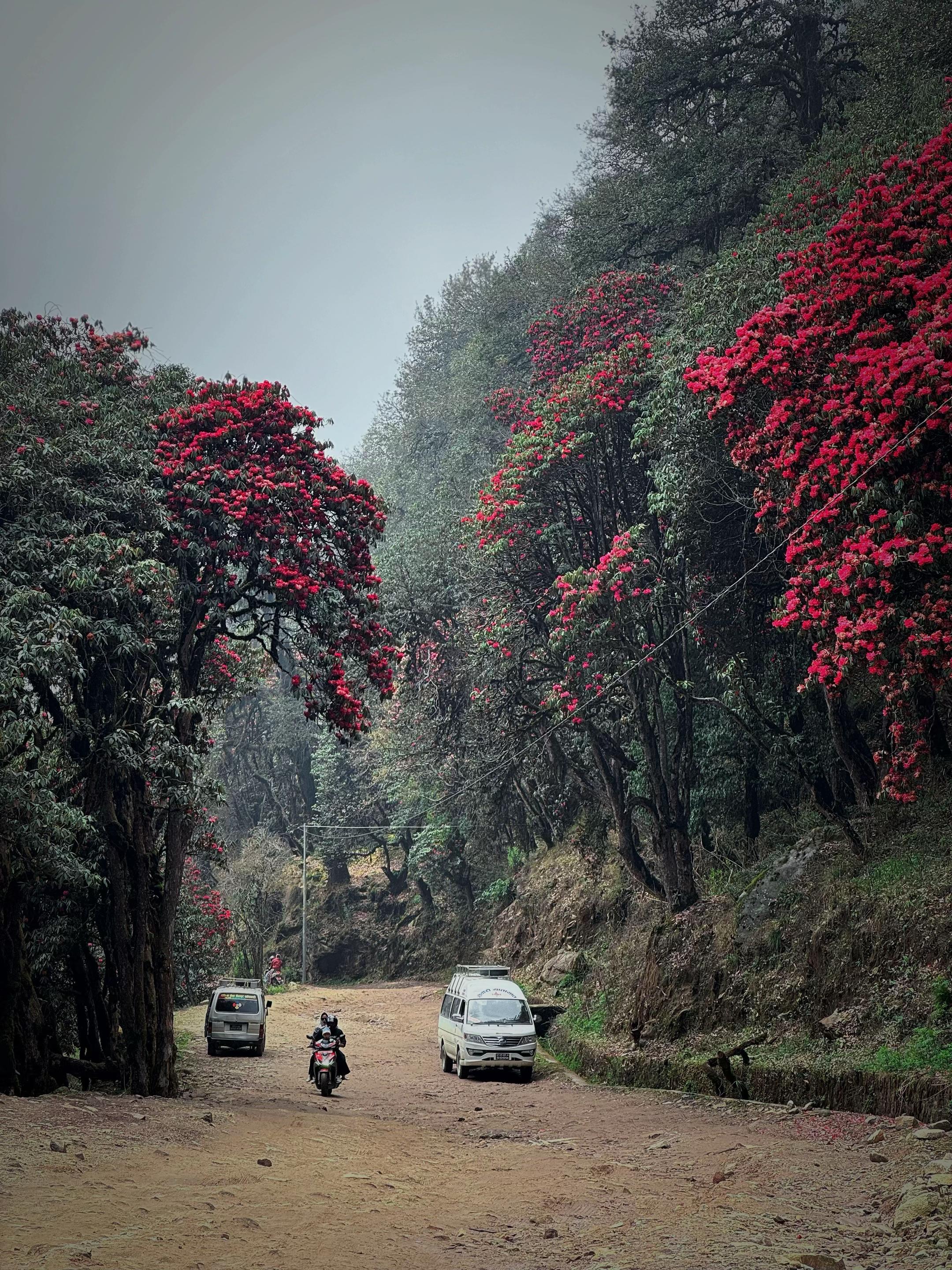 @Rajan bhattarai