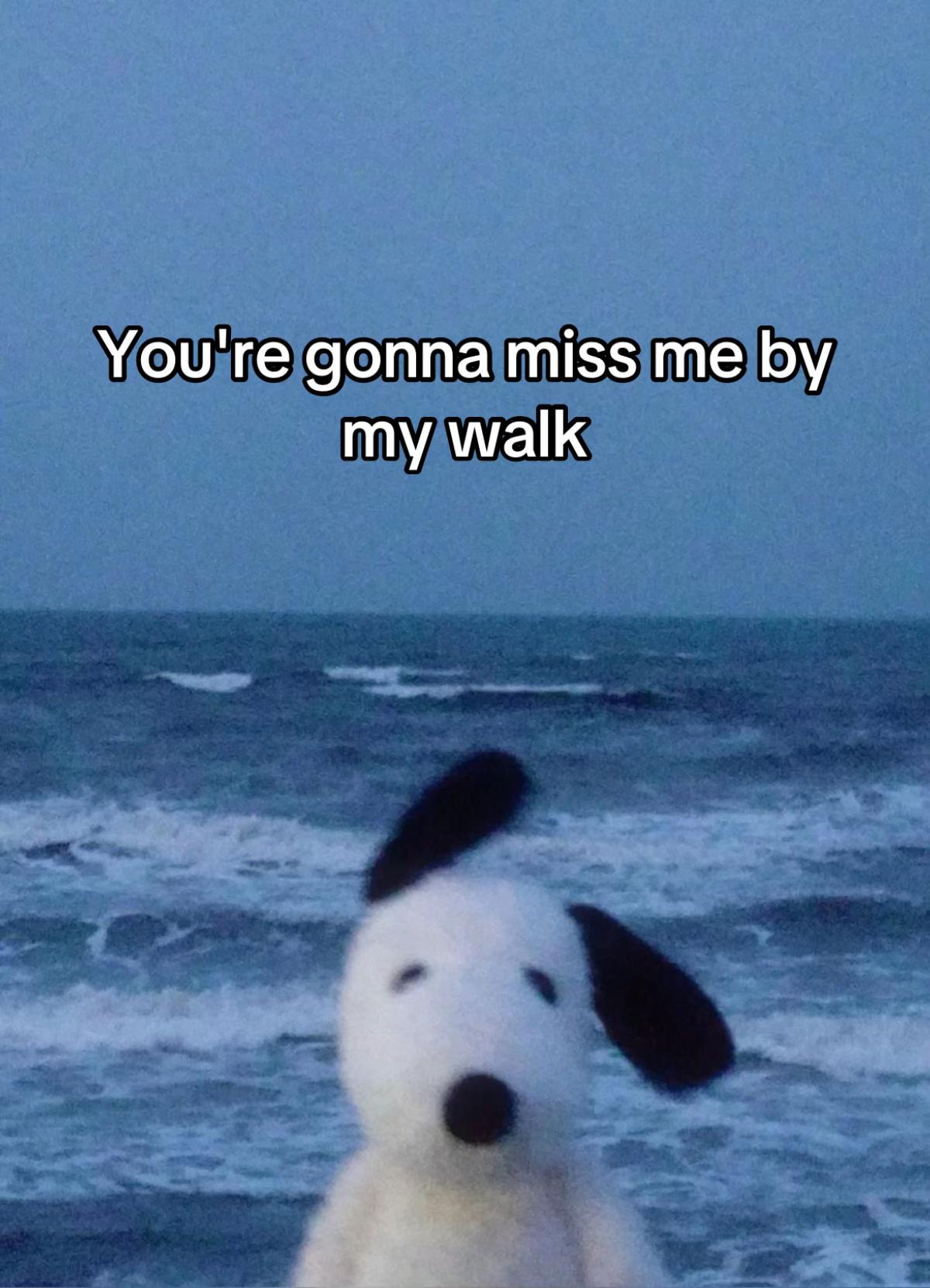 @♫Brian&rsquo;s wife♫