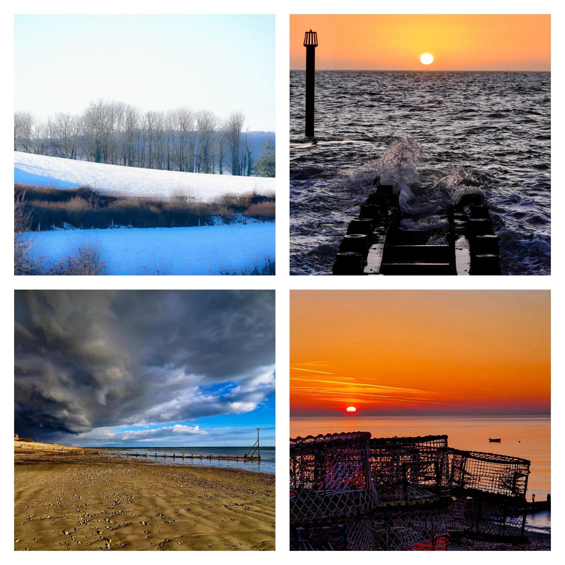 @Wild_andwoody_photography 📸