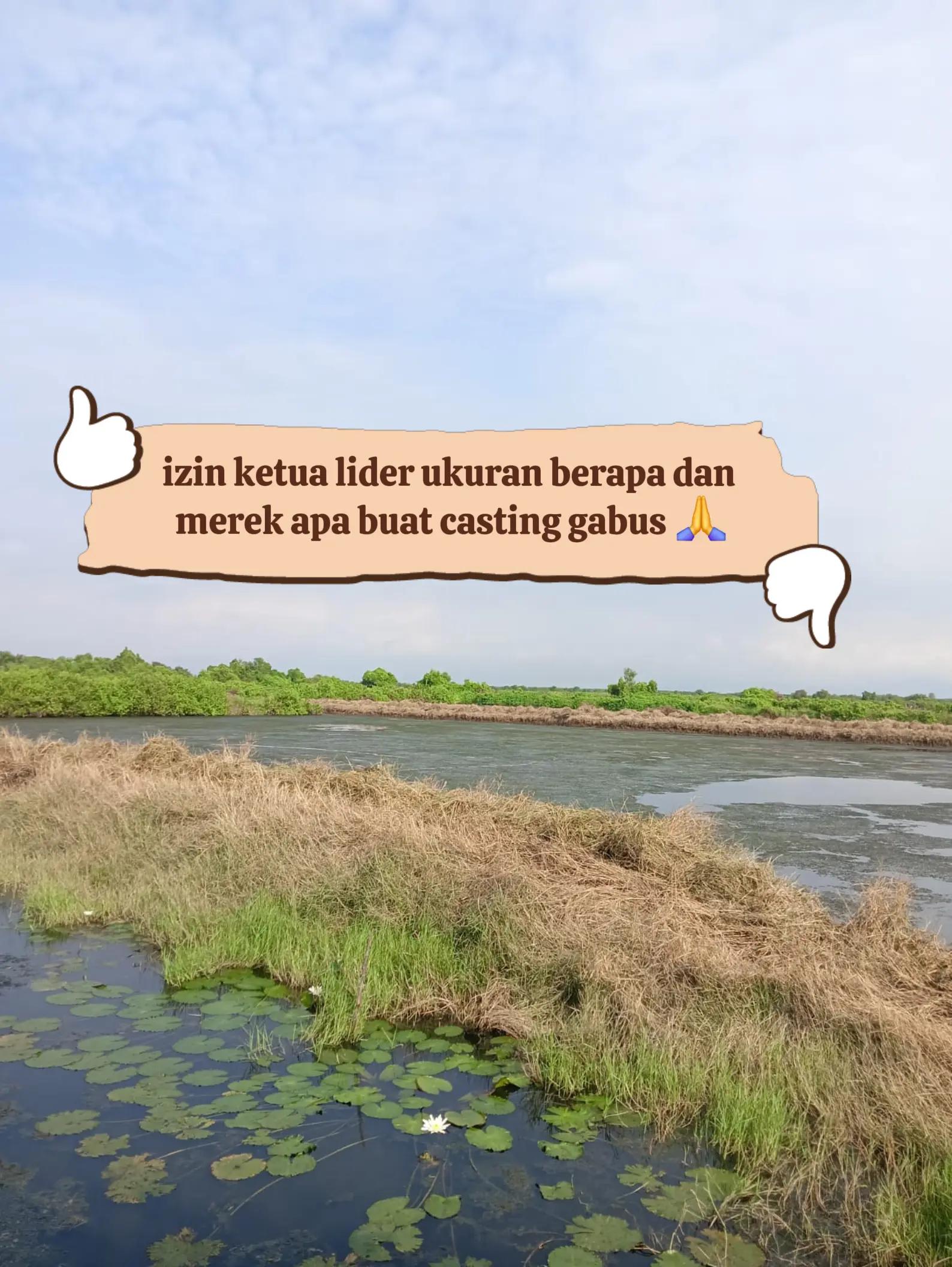 @yuanda🗿