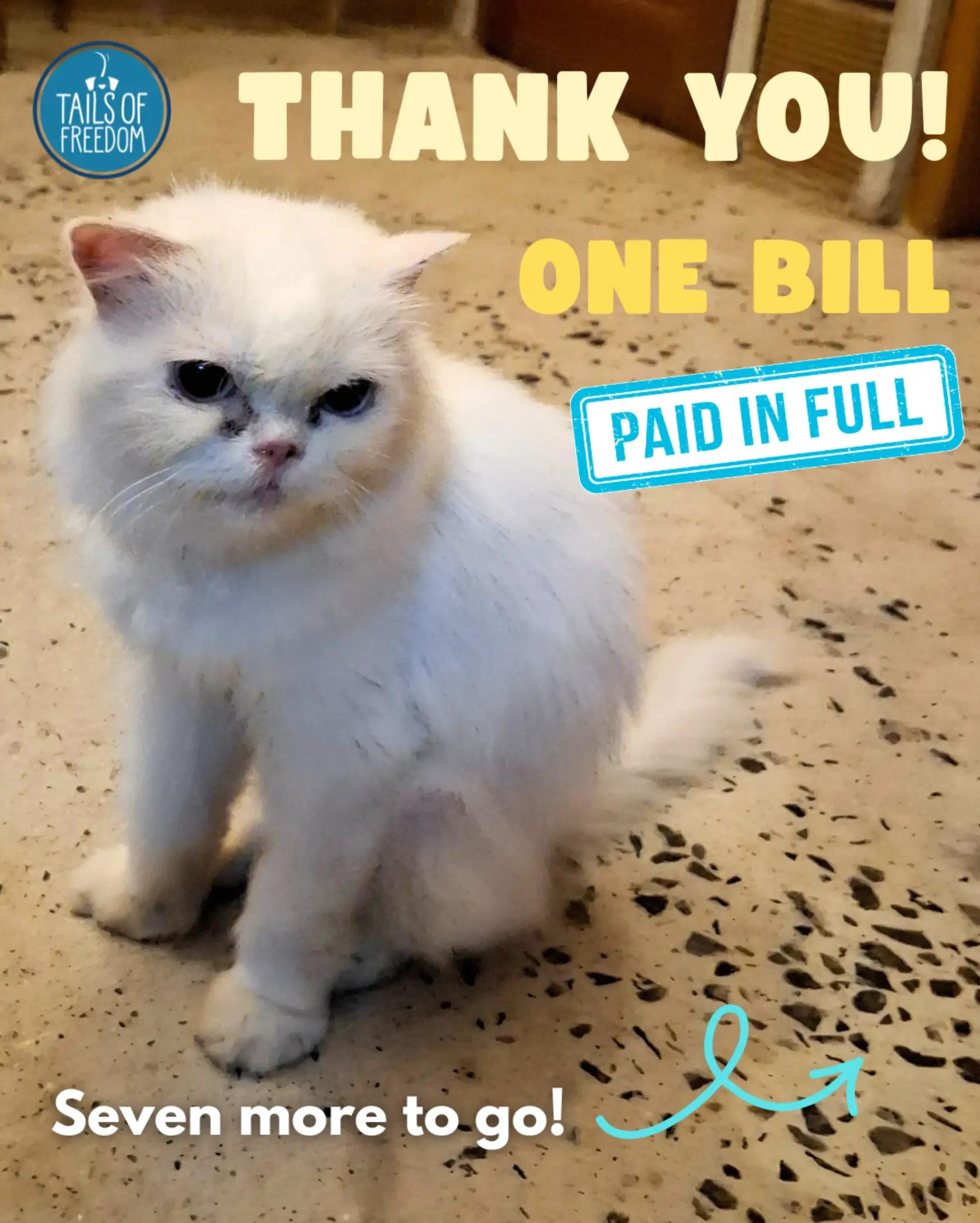 @tailsoffreedomsl